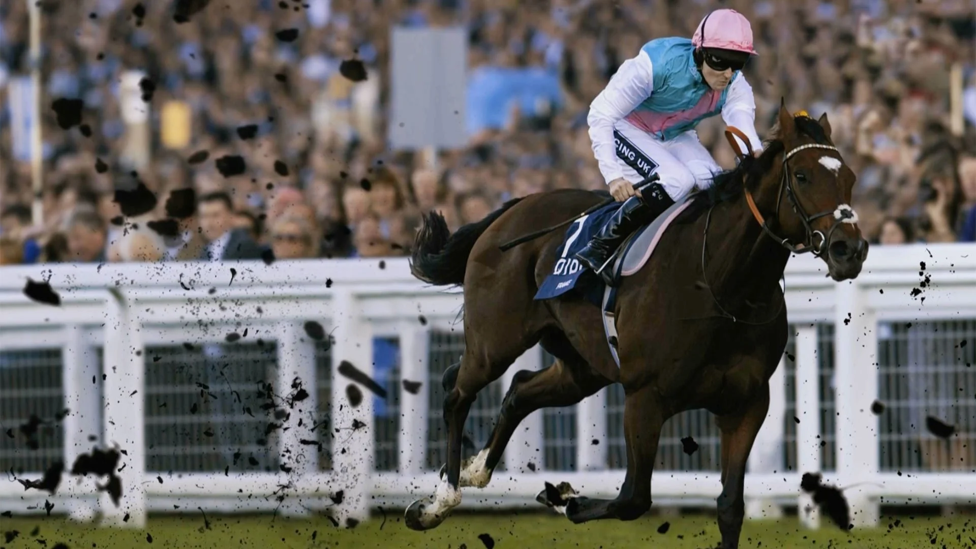 Betfair Streaks, Frankel