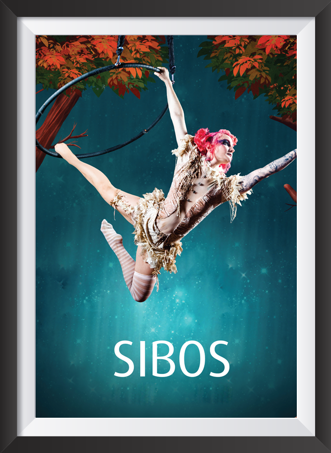 SIBOS Poster Design