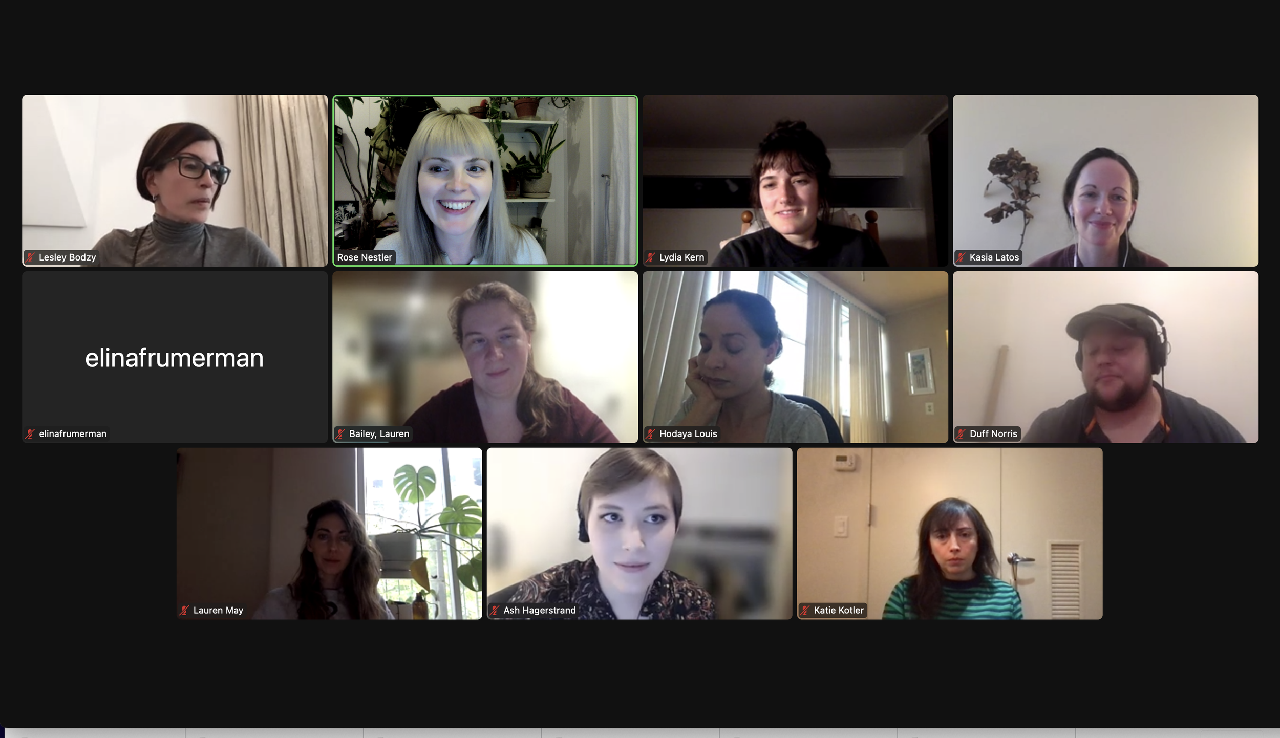 Rose Nestler's Cohort meeting