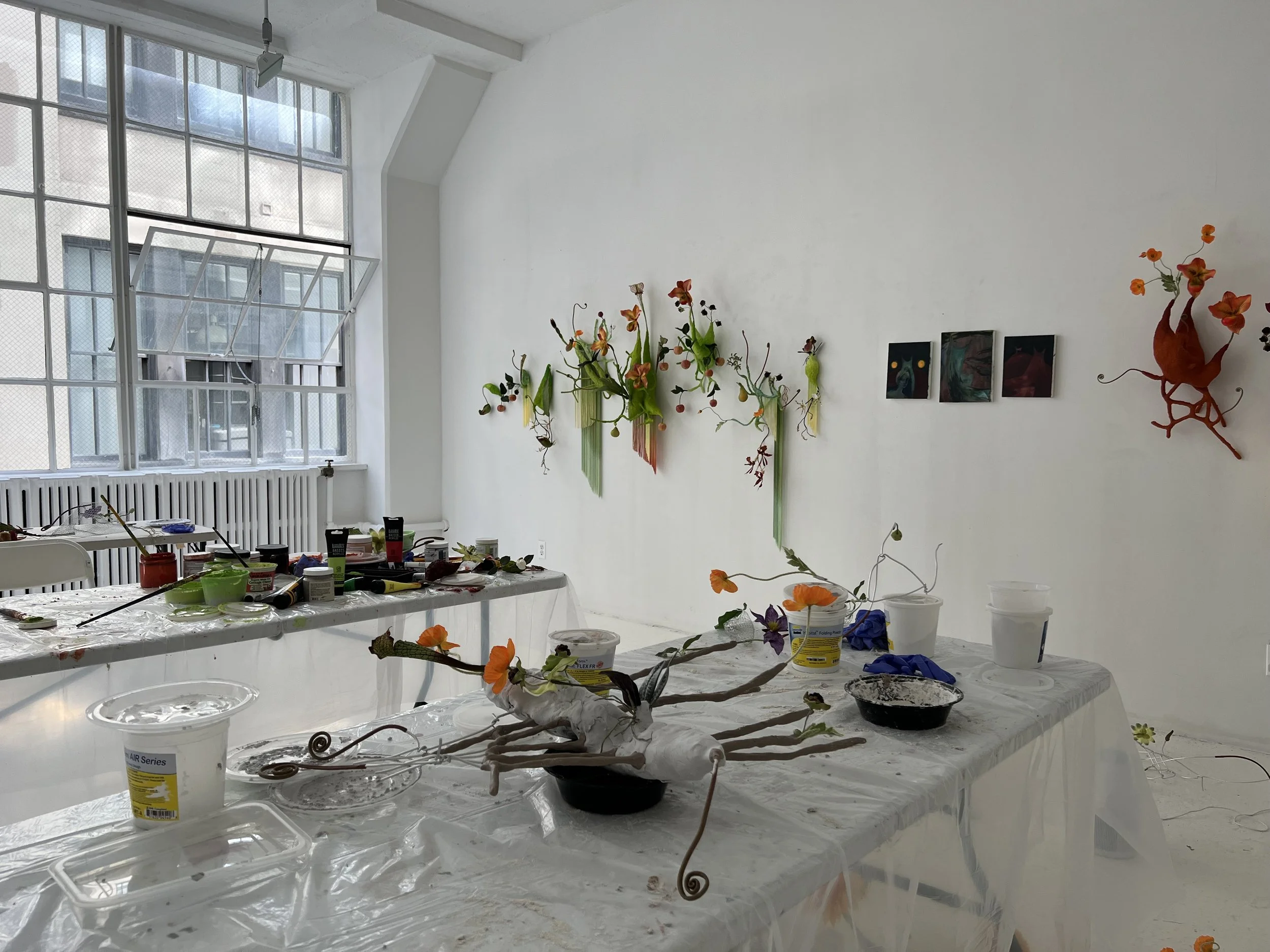 Julia Blume, Spring 2024 Plum Lime Resident