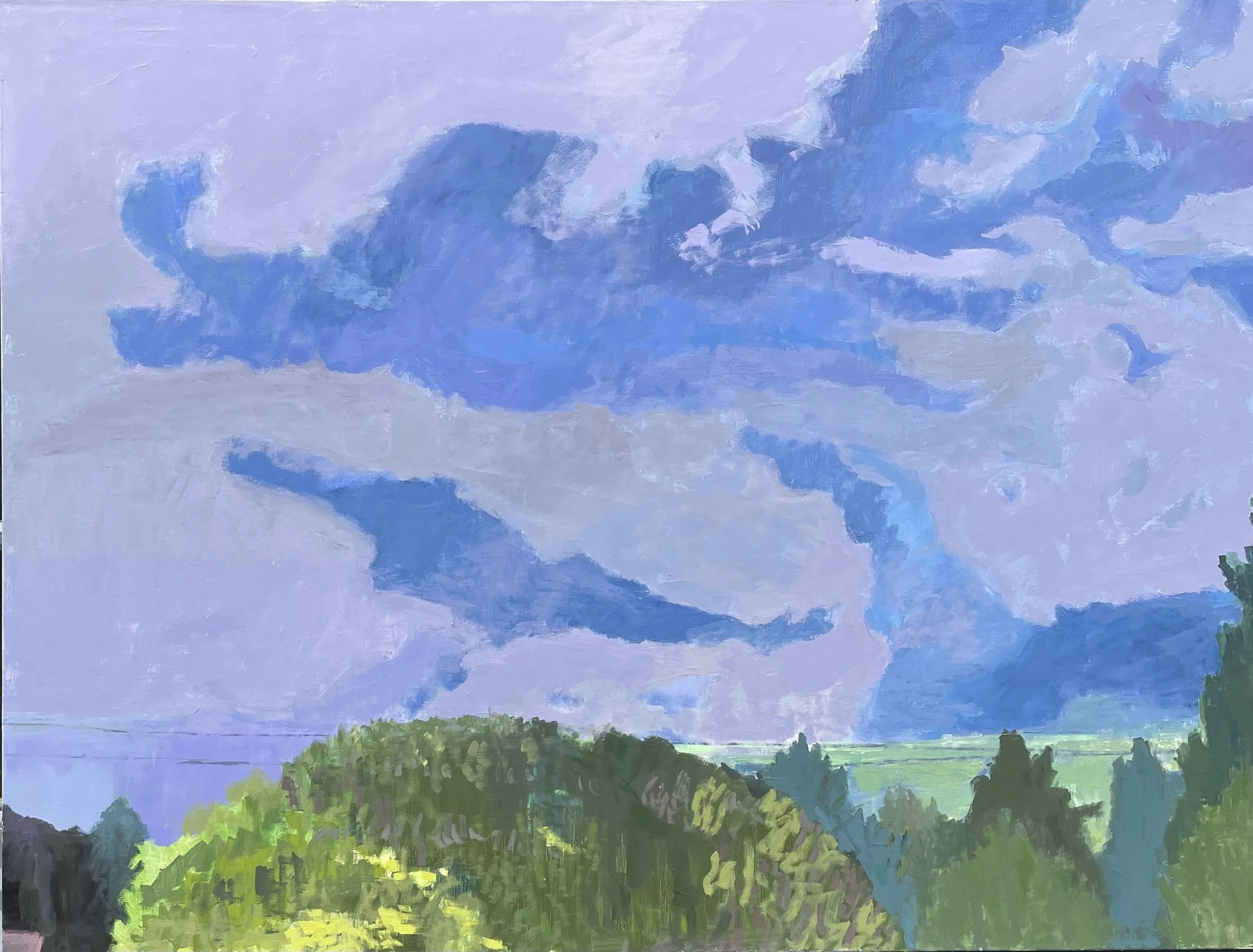 IMG_6640 - paula wachsstock.jpeg