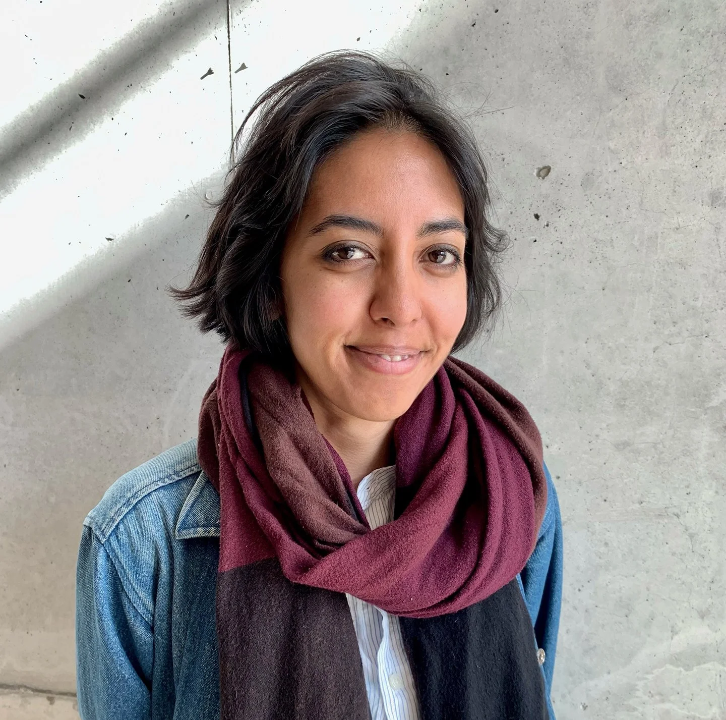 Meena Hasan - Artist