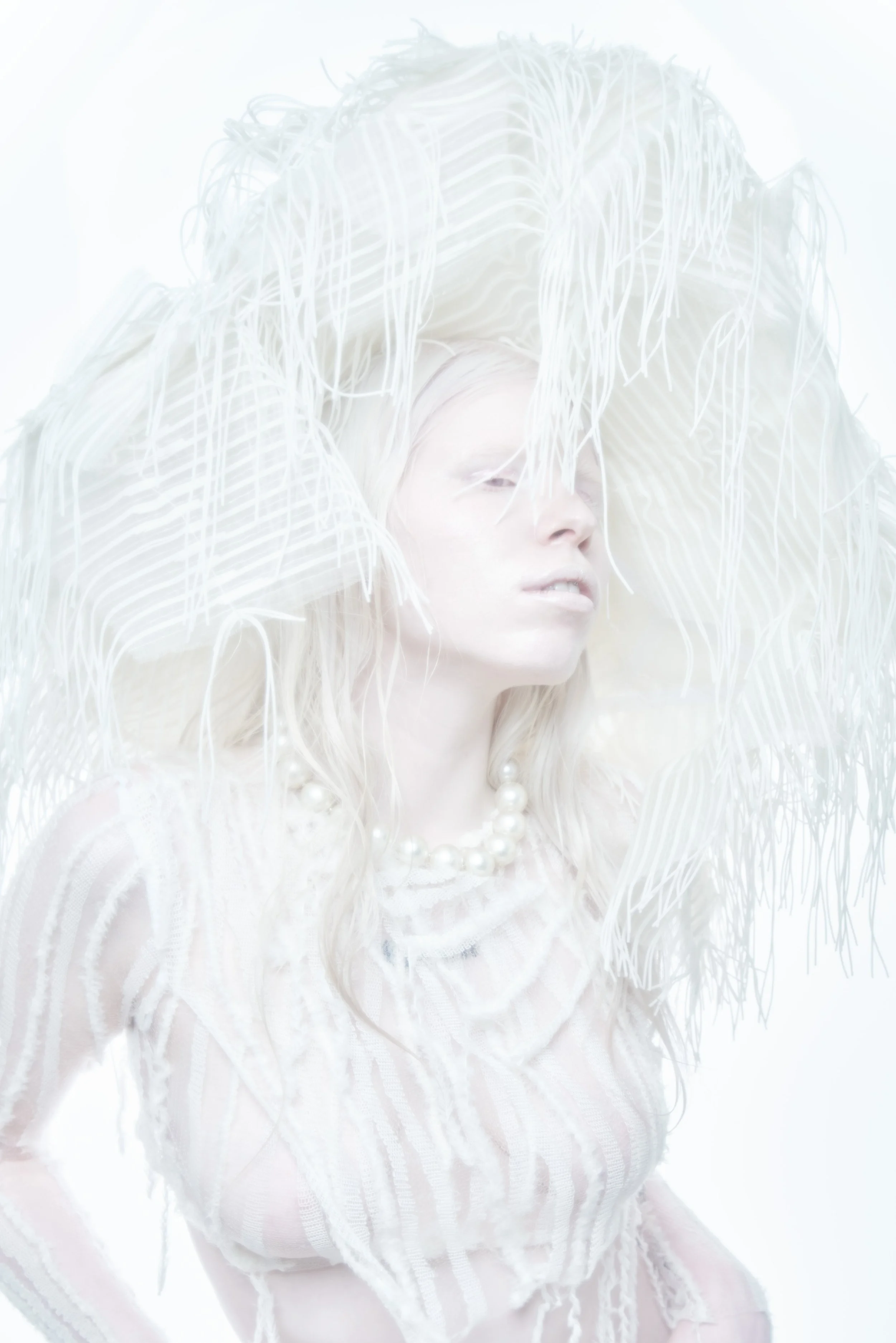 _a1_2024-05-25_Platinium-Siren_1386.jpg