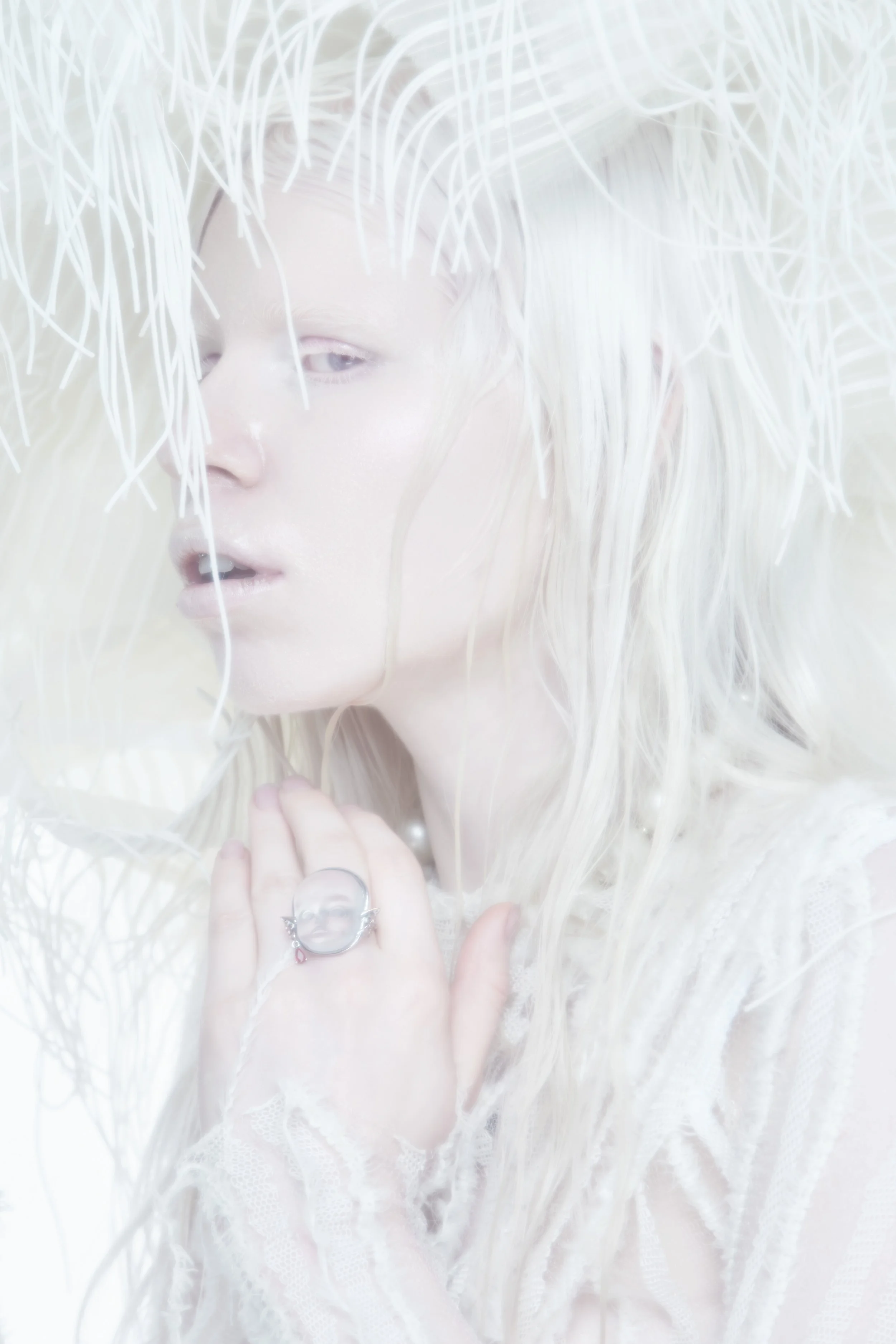 _b2_2024-05-25_Platinium-Siren_1468_v2.jpg