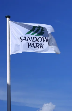 SAND flag 02a.jpg