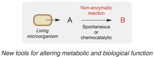 biocompatible chem.png