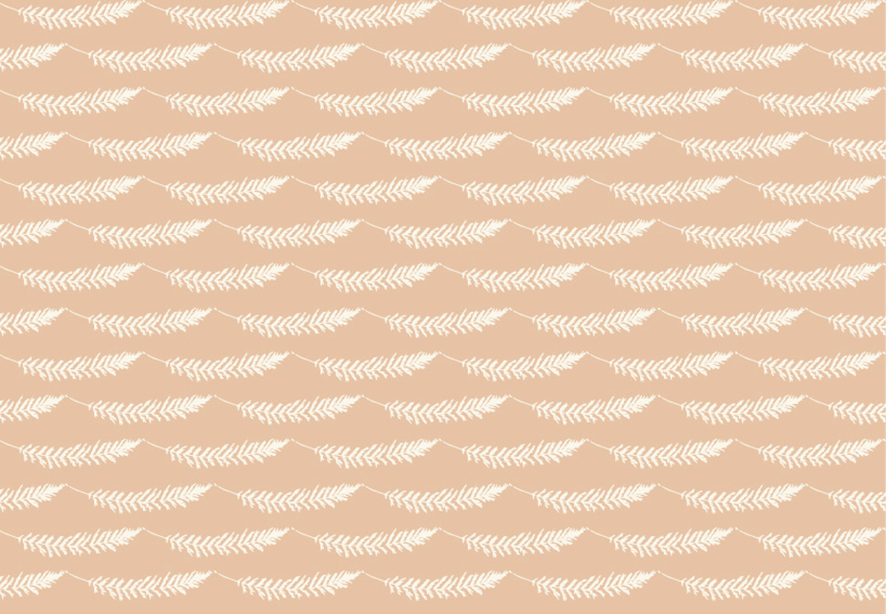 Feather Like (White on Peach) ©Kate Lancaster