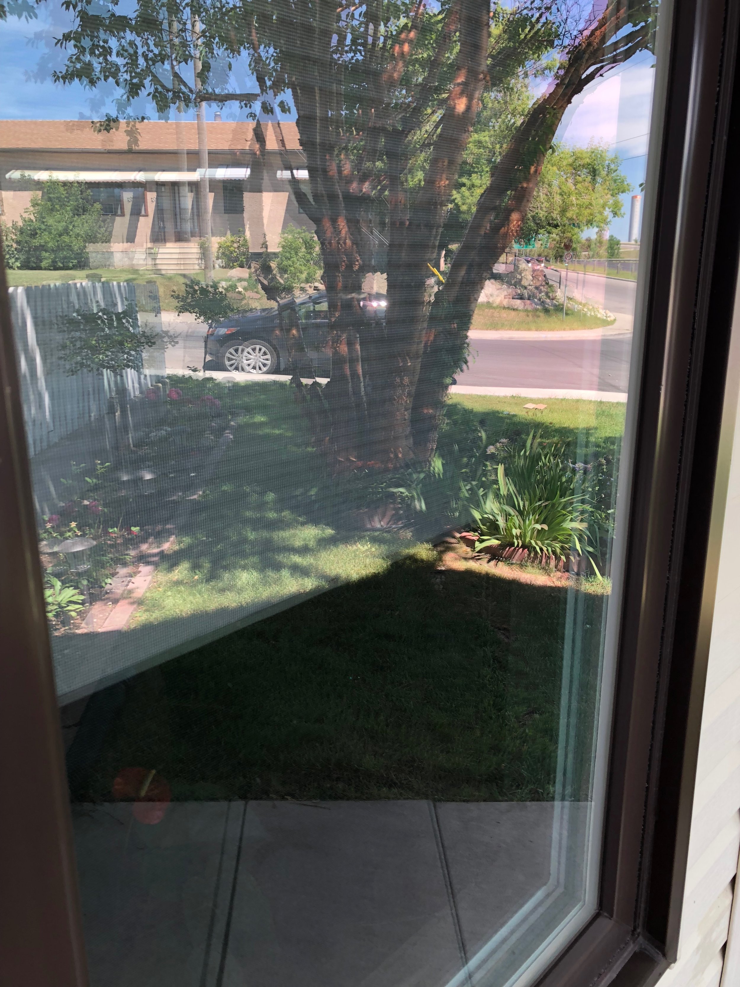 Freshly Cleaned Windows.  Sparkling Clean! 