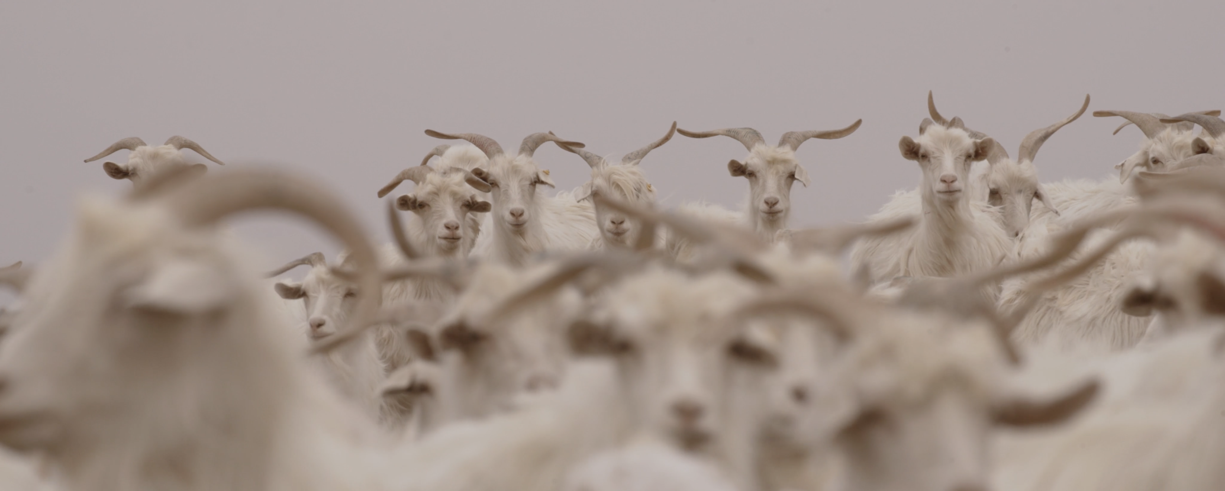 Screenshot 2026-03-09 alle 10.40.20.png