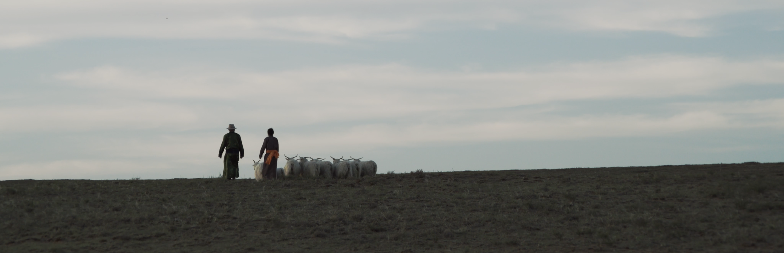 Screenshot 2026-03-09 alle 10.41.17.png