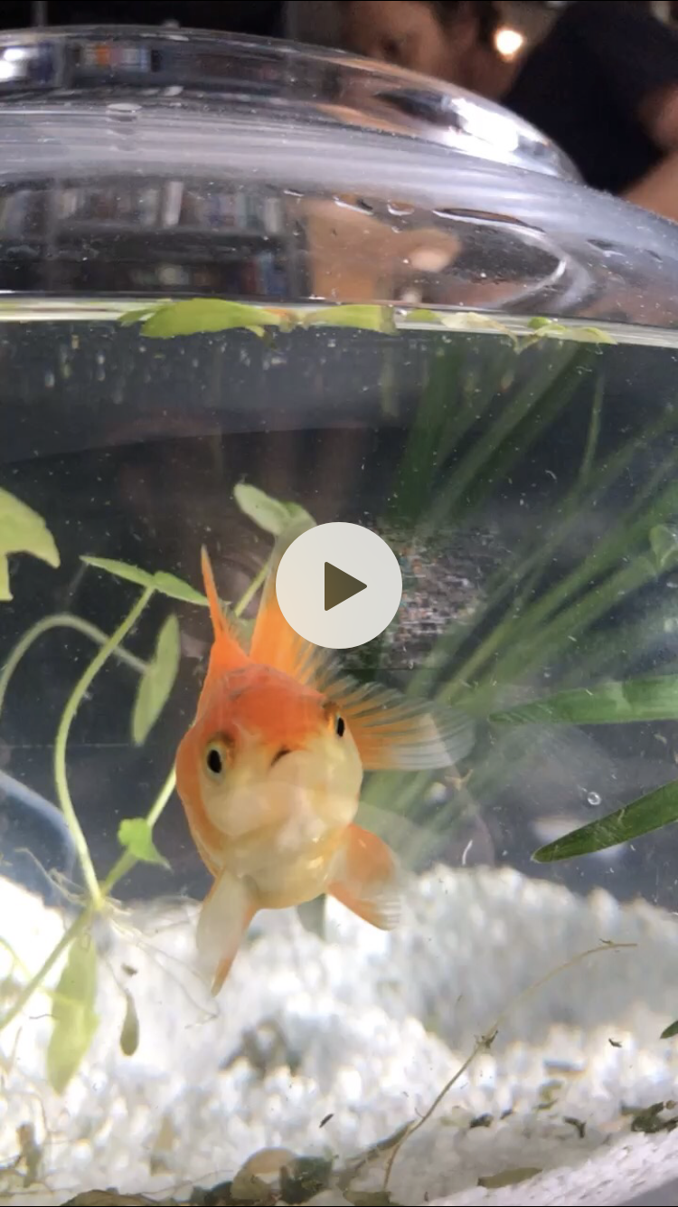 Commercials and friends