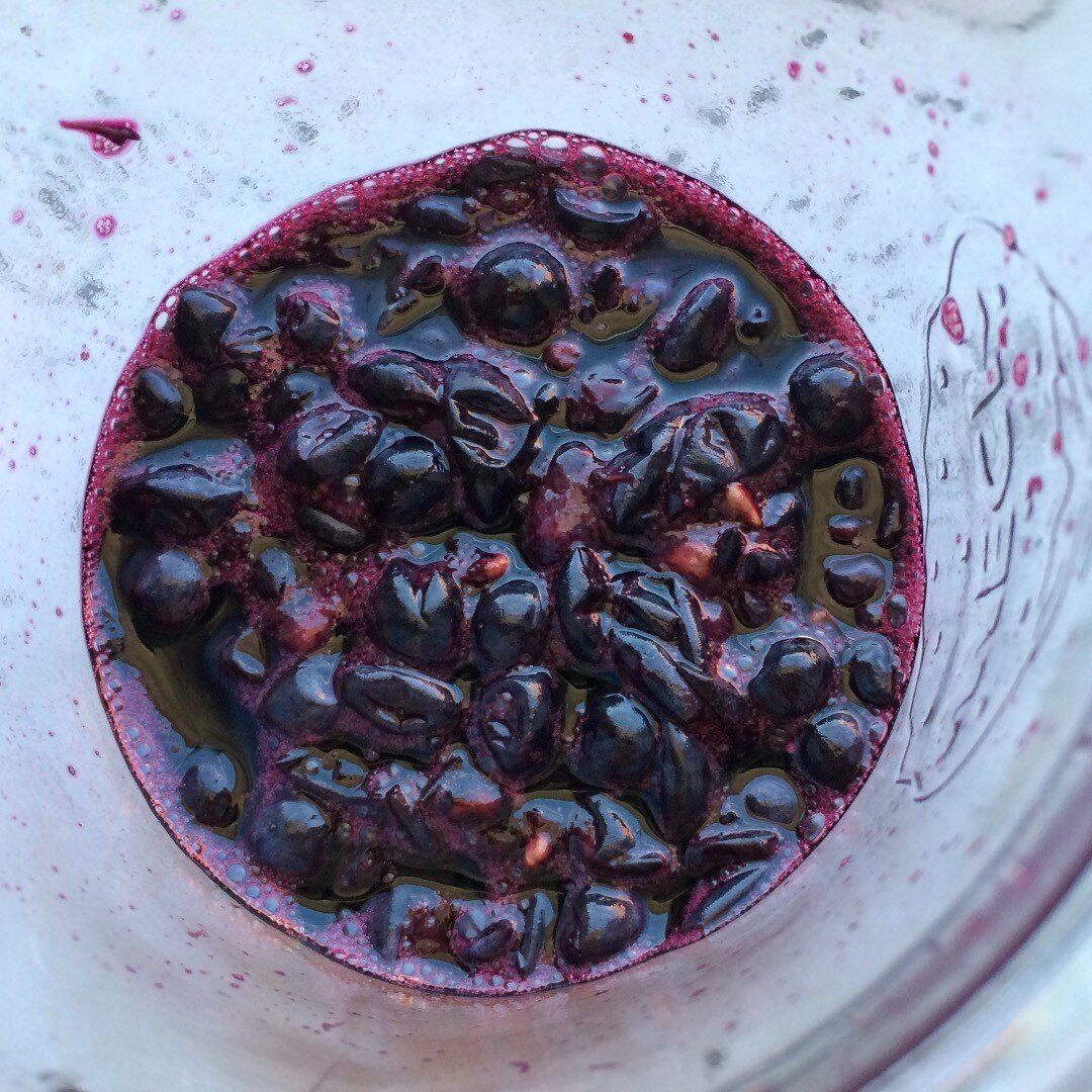 The season of wine grape is coming: Making natural yeast 
...
...
あっという間に葡萄の季節。
知り合いがワイン用の葡萄と搾りたて葡萄ジュースをくれたので早速天然酵母作り。
小粒で甘くて美味しい。
昔はご近所さんで集まって一年分のワインを作っていたそう。
うちの地下にも大家さんのワイン部屋がありますが、物置となってます。
ワイン作りに手を出すとまたハマりそうなので、今のところは距離をとる私。
...
...
#weintrauben