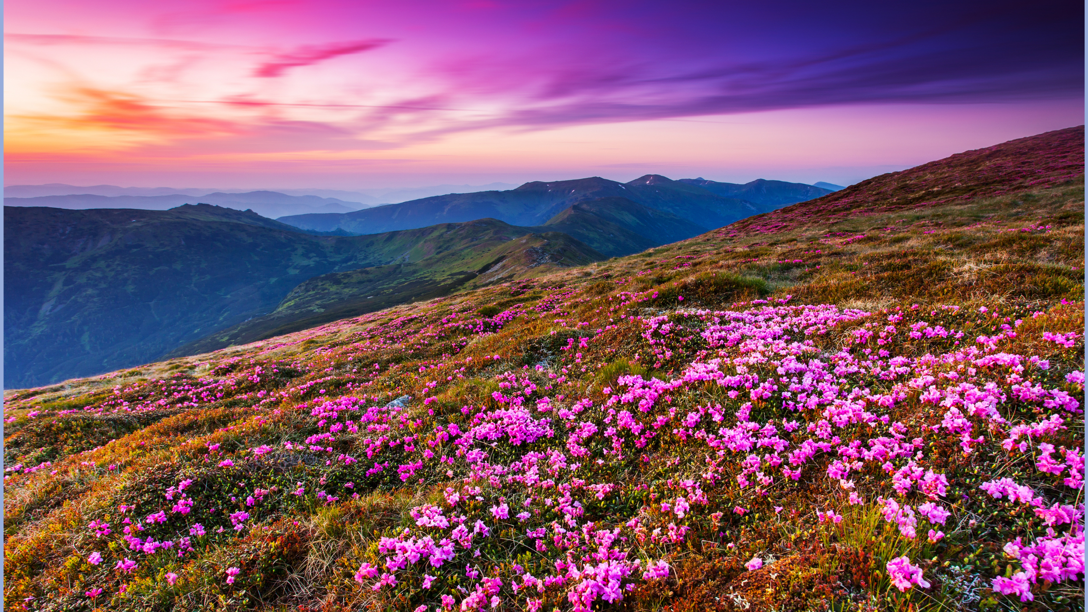 The Pack Breathes Together: Finding Strength in Community