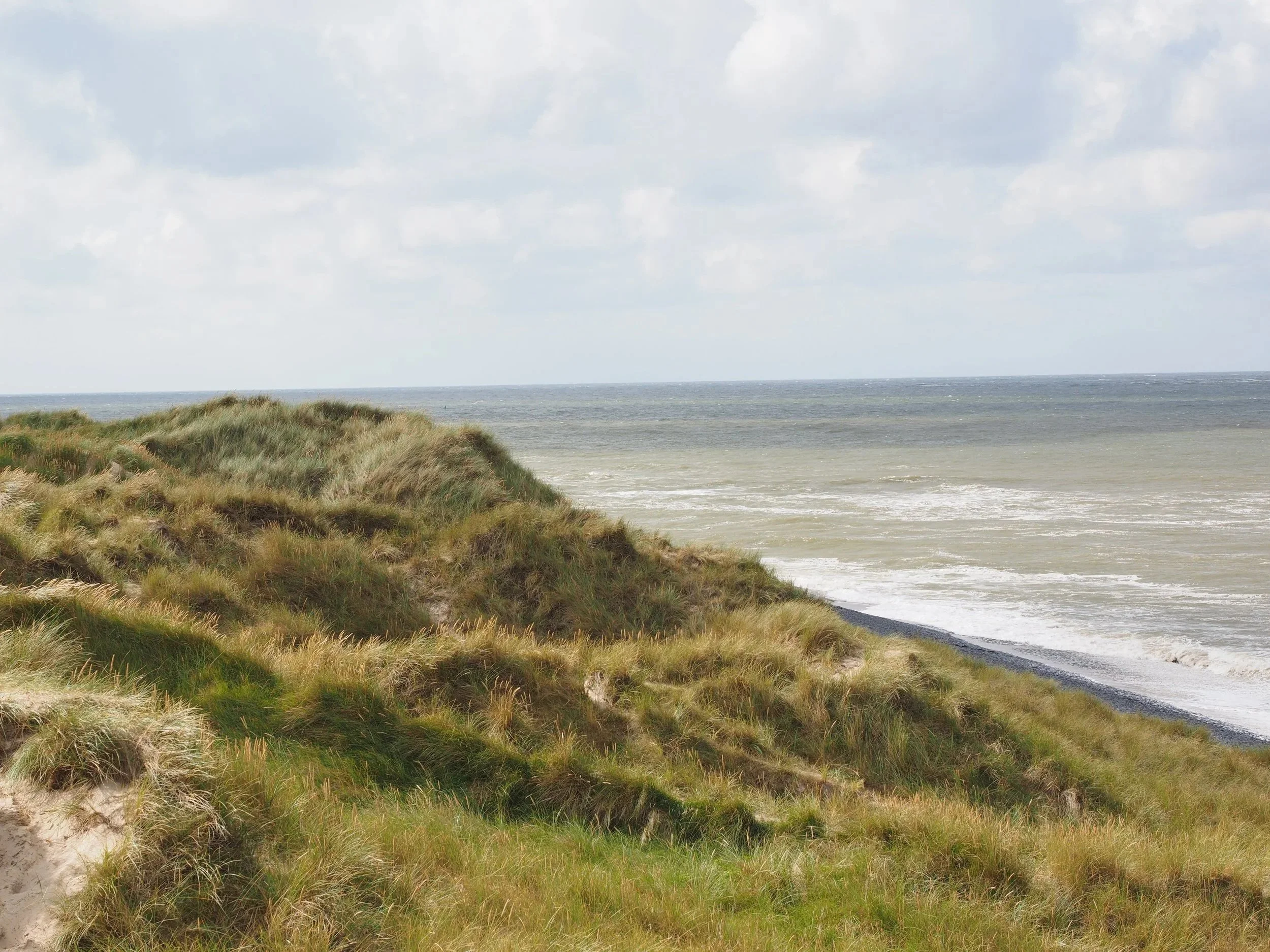 hans-sylt-2851076.jpg
