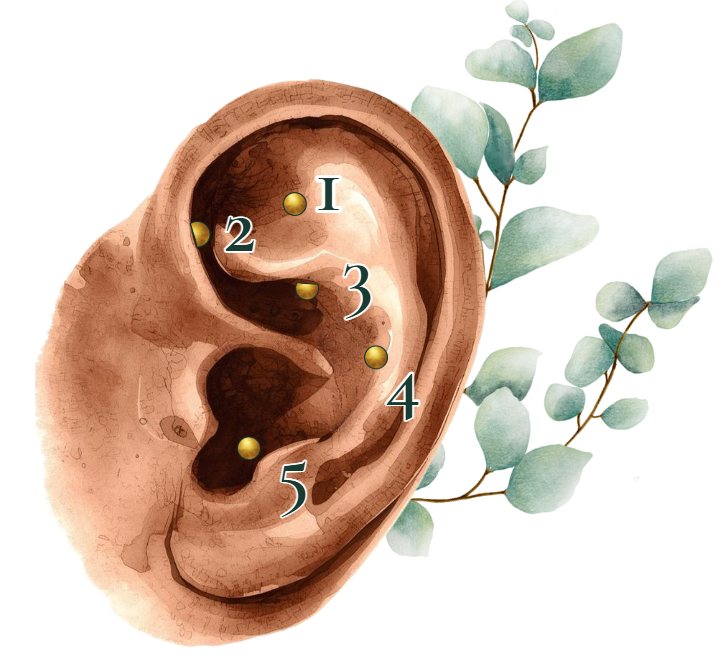 NADA Ear Acupuncture as a Take Home Wellness Support