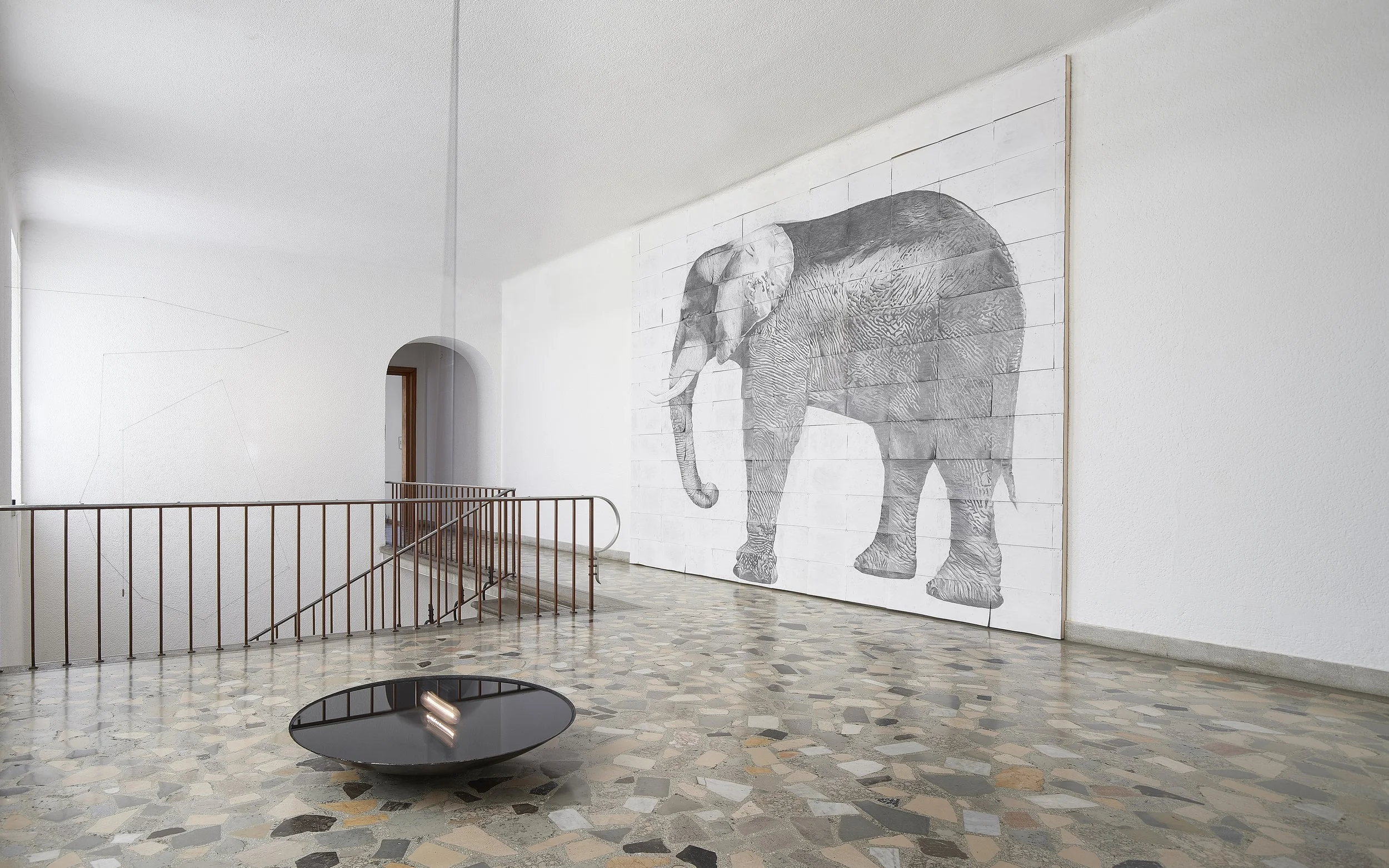 An Elephant in the Room (or a mouse)2.jpg