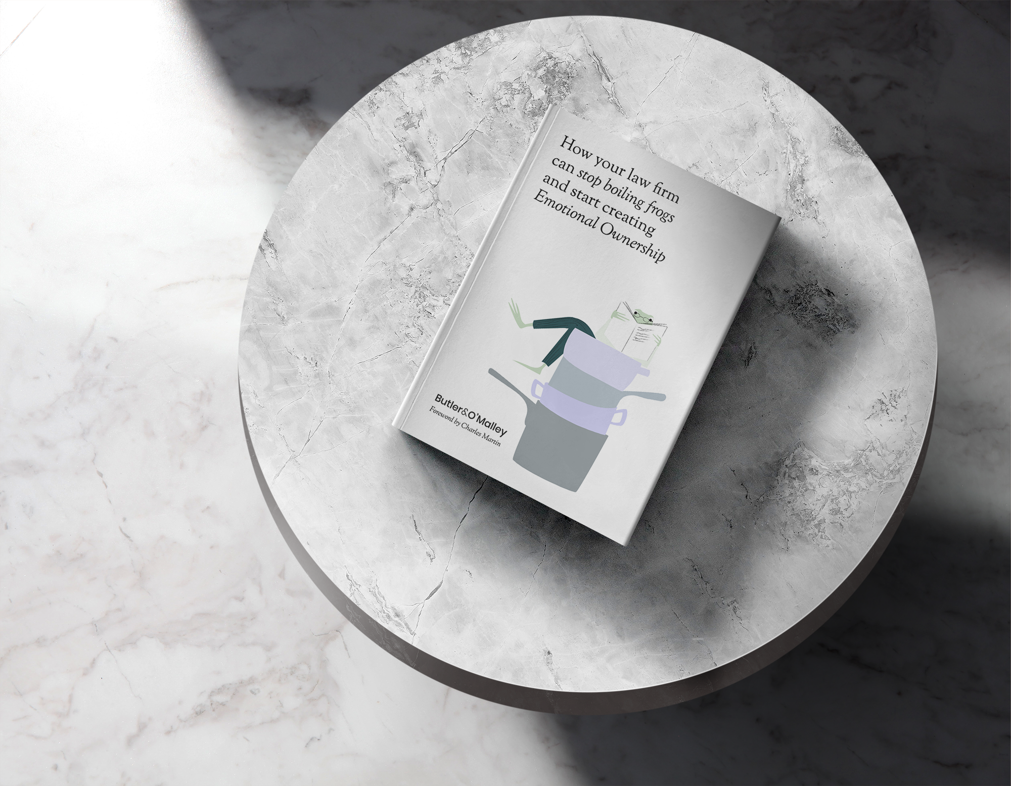 Frogs_BookMockup.png