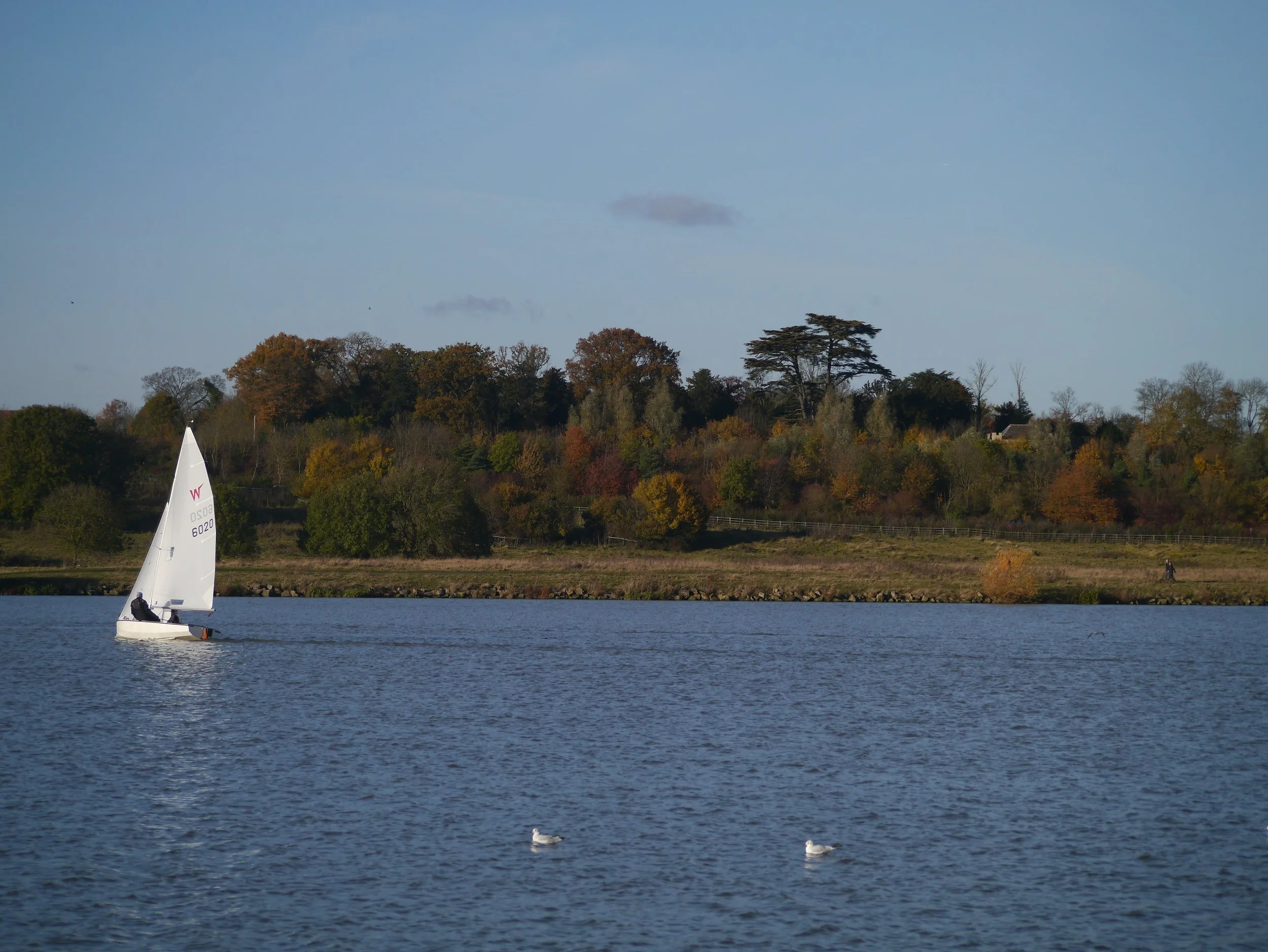 Ferry Meadows