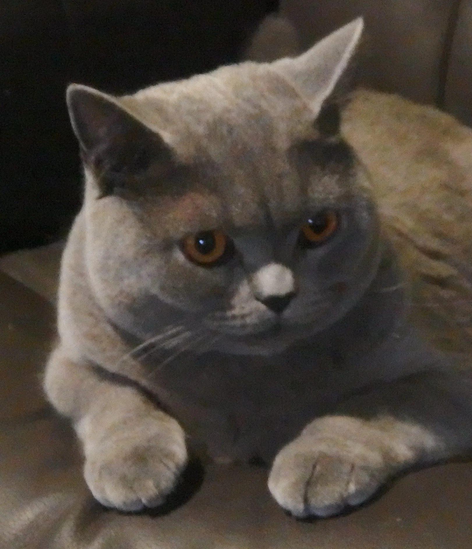 04.JPG