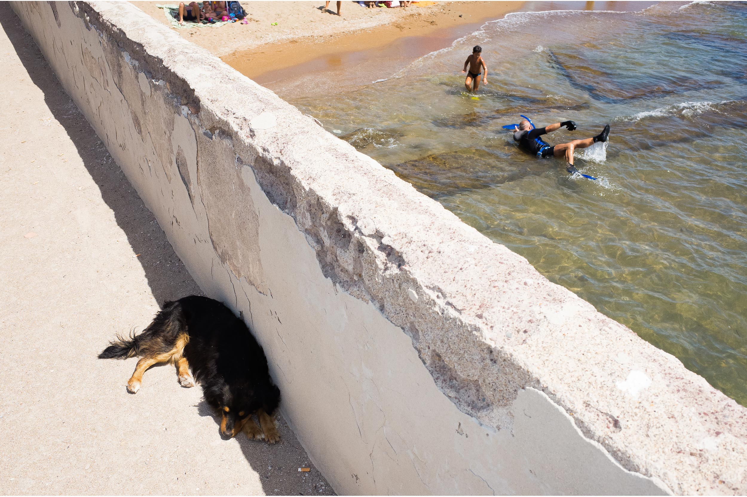 A dog sleeps seeking the shadow in Summer, while a man struggles trying to have fun in the water.