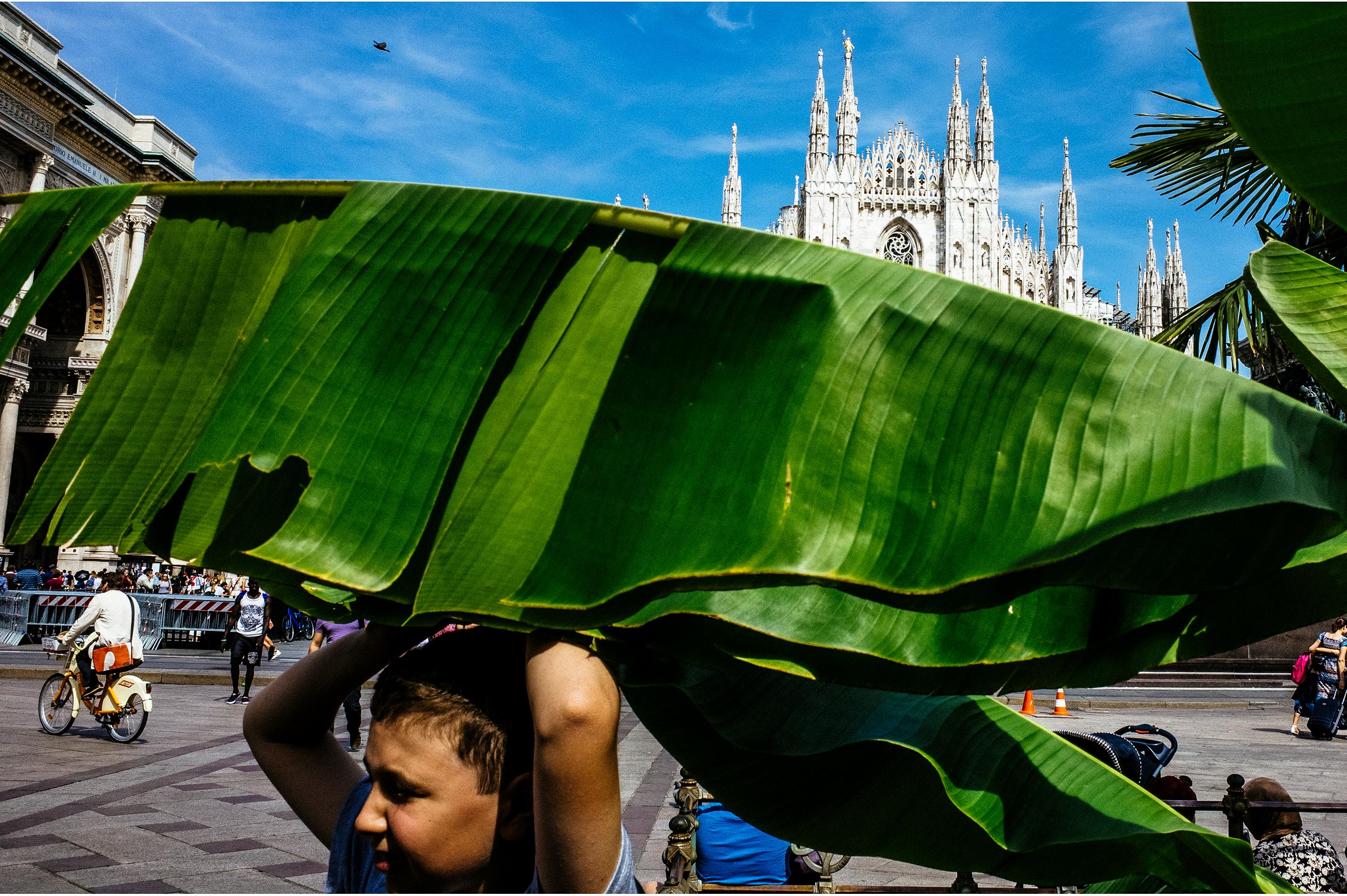 Milan, Italy, 2017. The boy, the bicyle, the palm tree and the Cathedral.