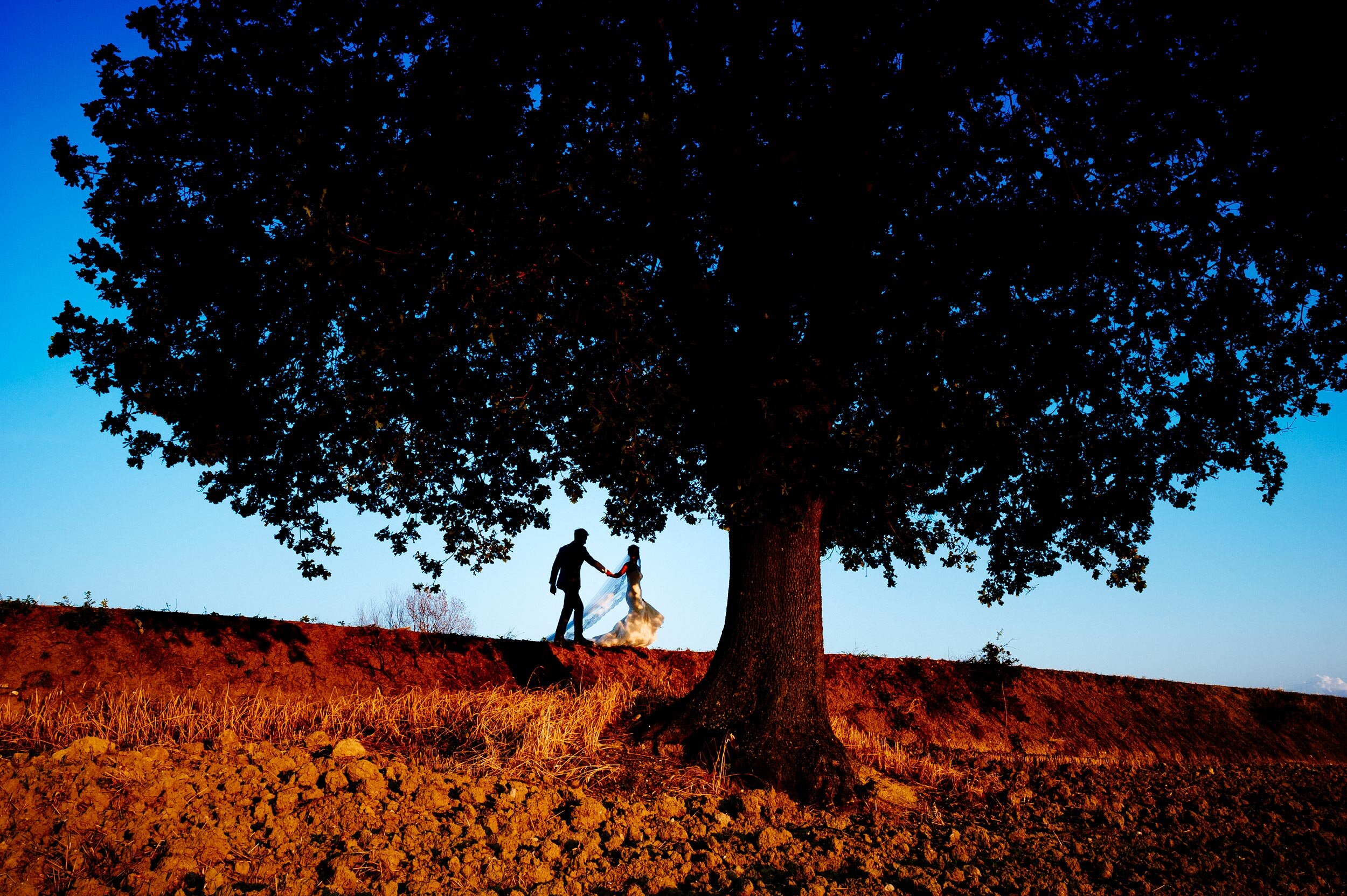 The-bride-and-groom-under-a-tree-blue-and-orange-complementary-colors-slihouette.jpg