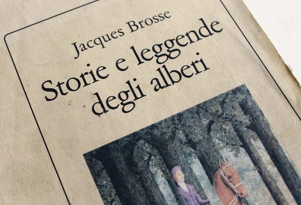 copertina_brosse.jpg