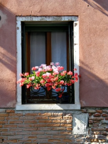 Flower Box along the Canals of Venice. Picture by Bill Ross Photography
