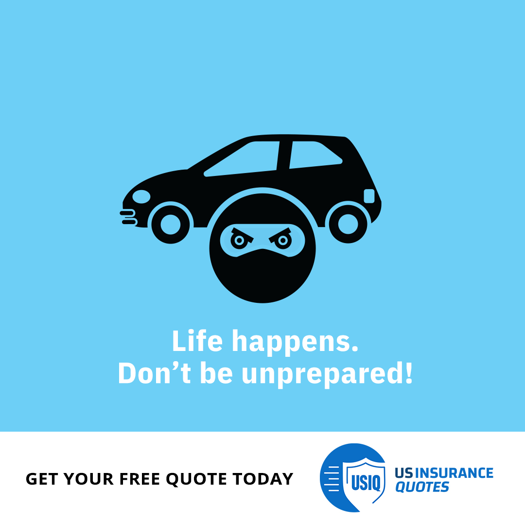 v2_icons101i_iconads_lifehappens_cartheft.jpg
