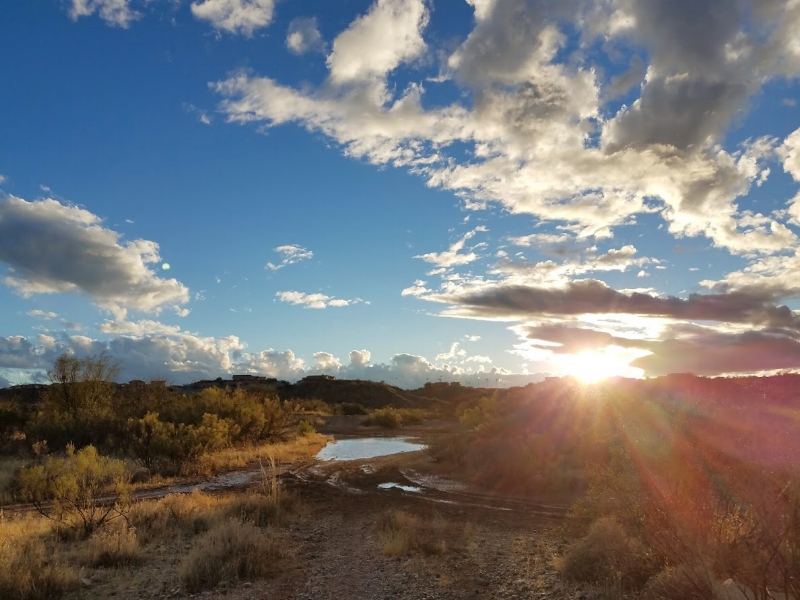 walking sunset.jpg