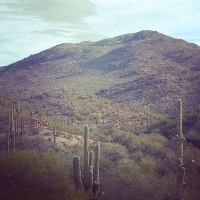 Arizona mountains.jpg