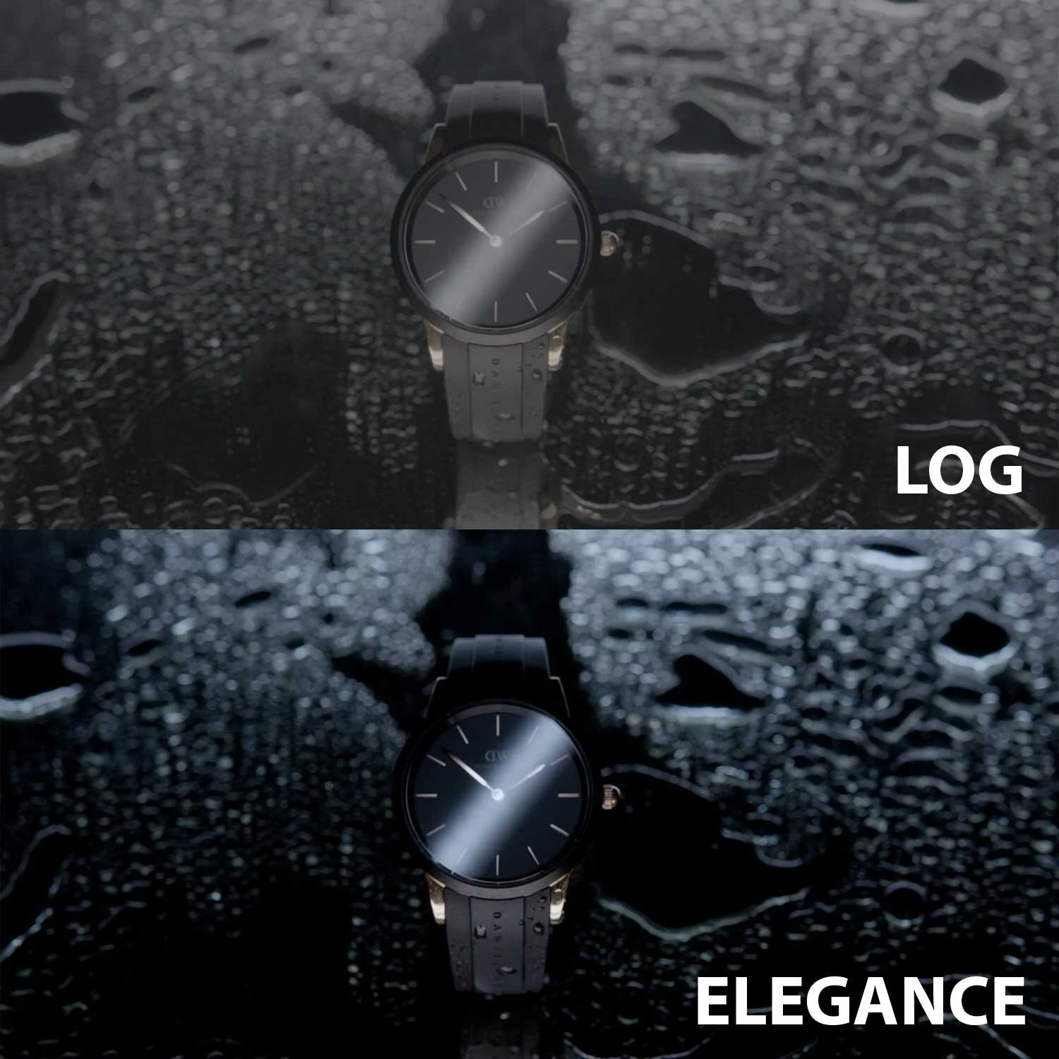 Elegance-Lut.jpg