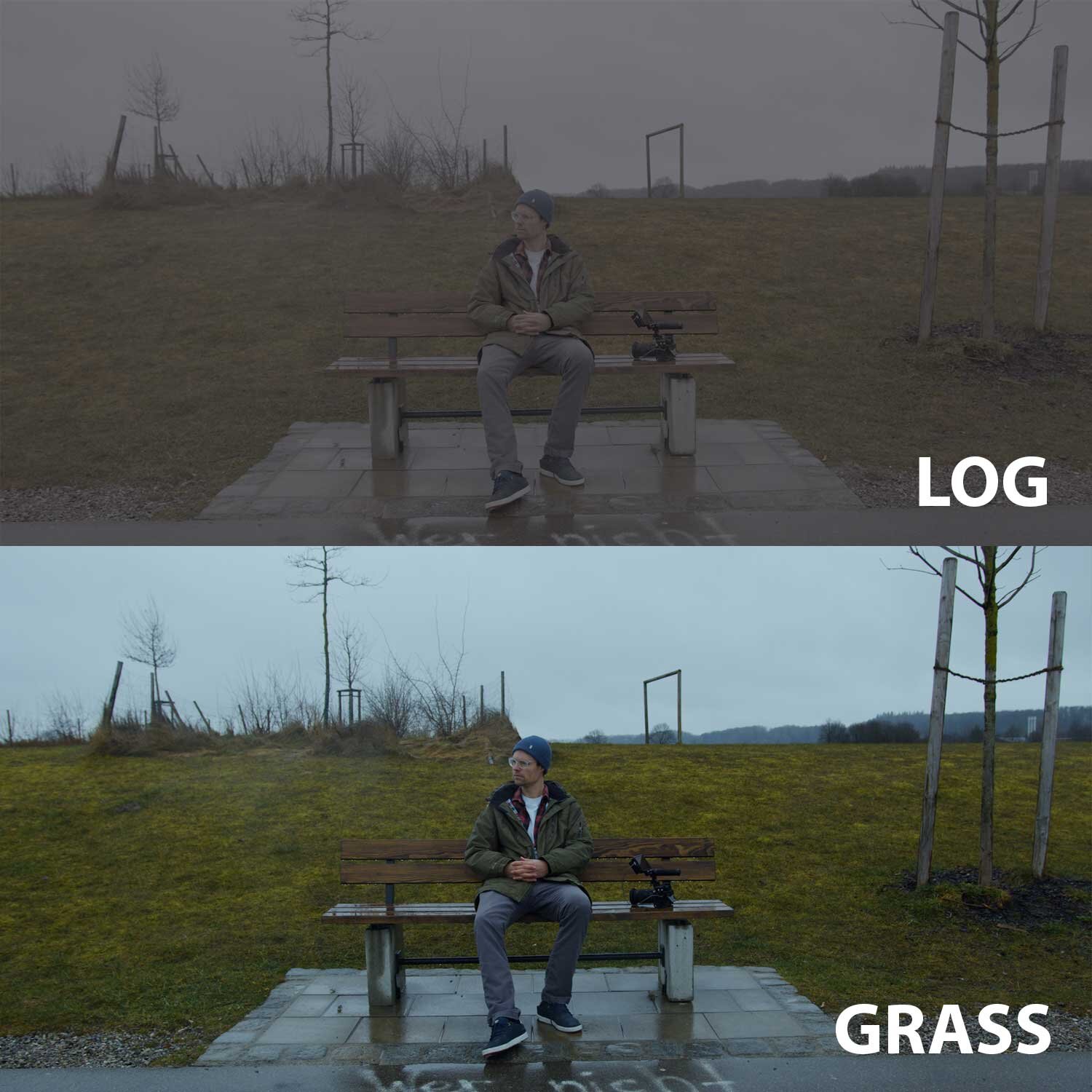 Grass.jpg