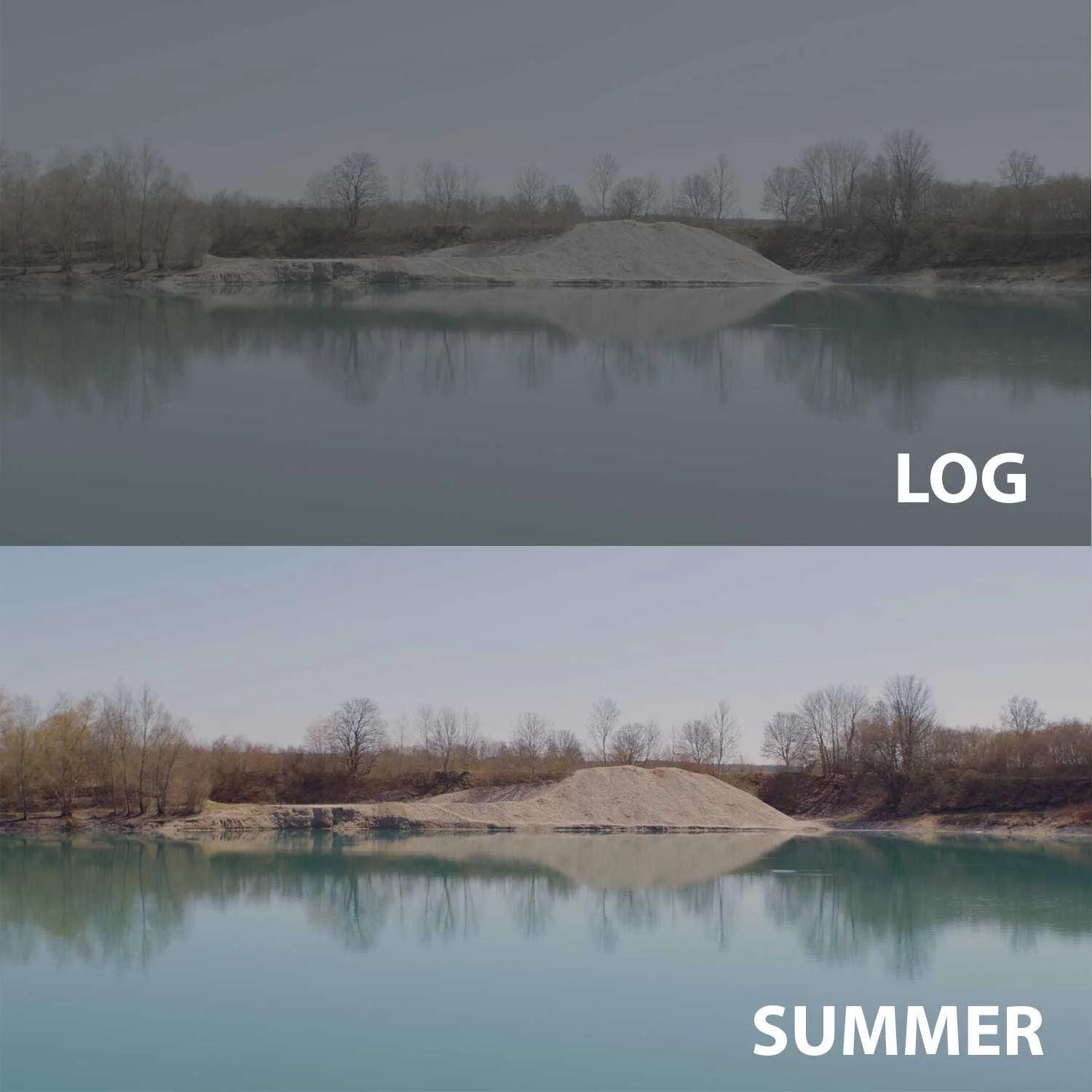 SUMMER.jpg