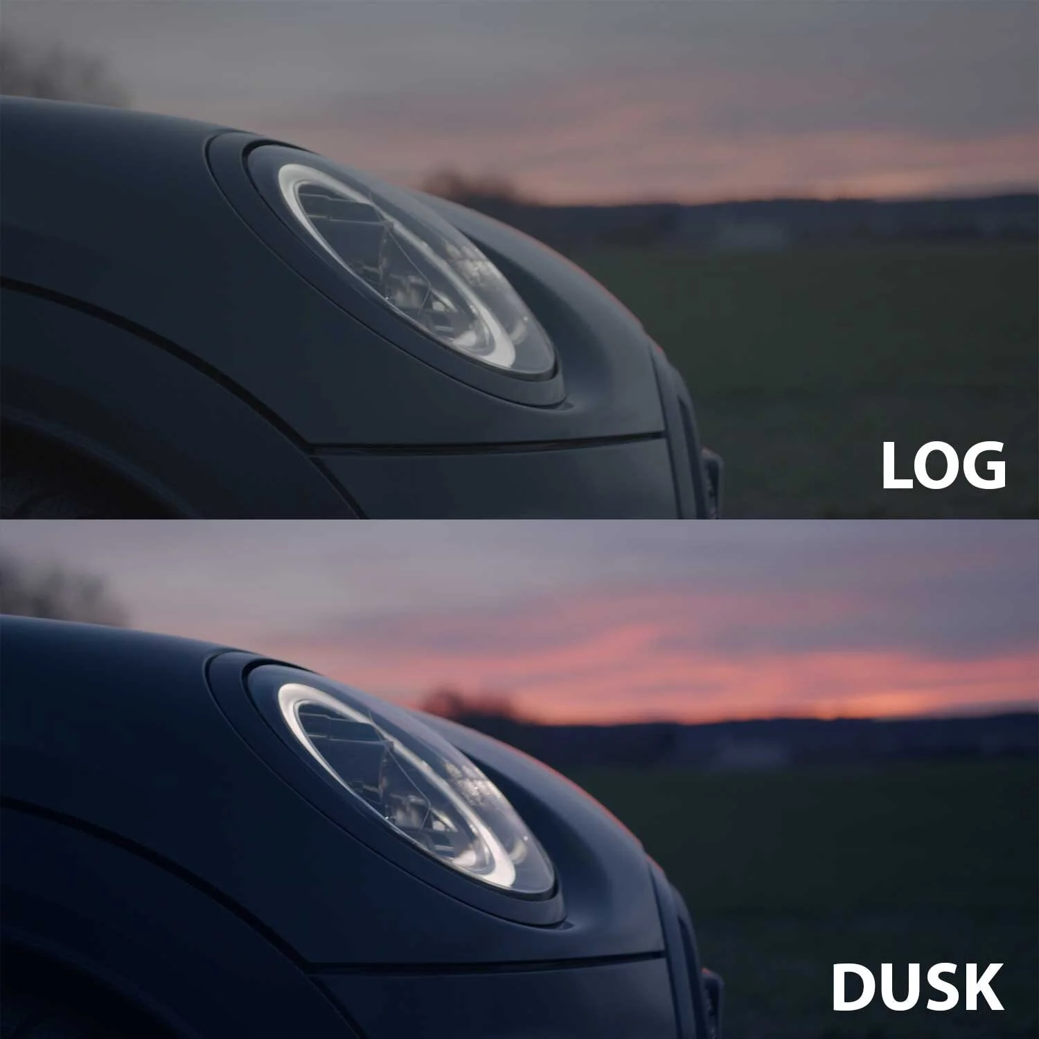 DUSK.jpg