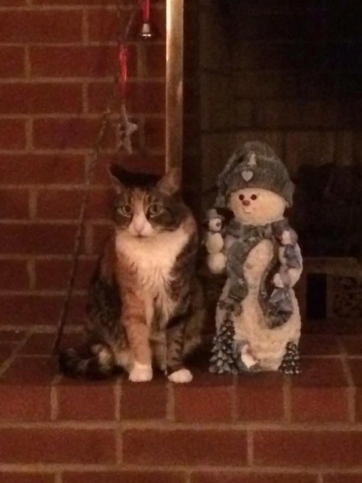 Franny Snowman.jpg