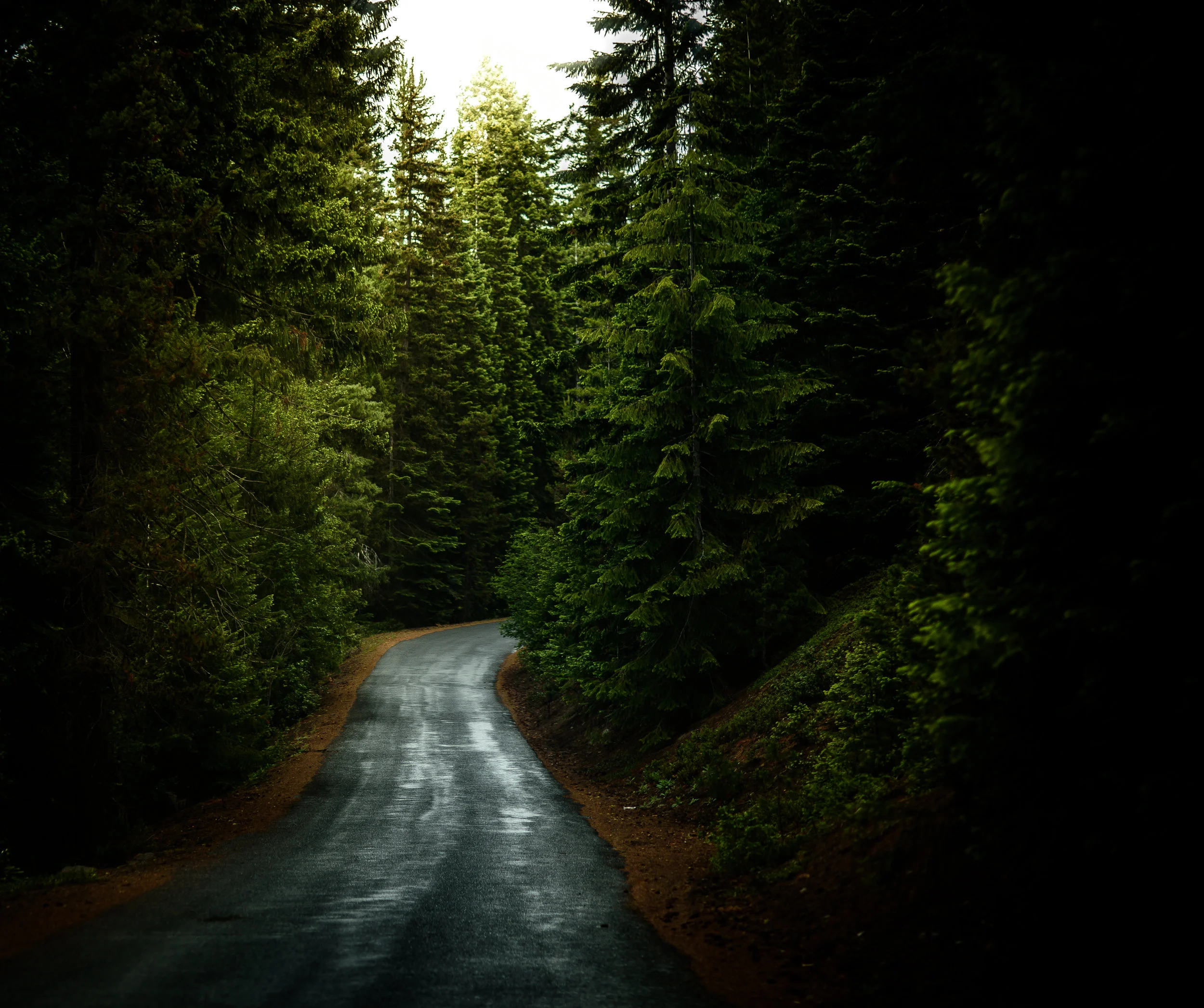 Early Difficulties Translated into Valuable Lessons: Twilight Musings Autobiography (Part 4)
