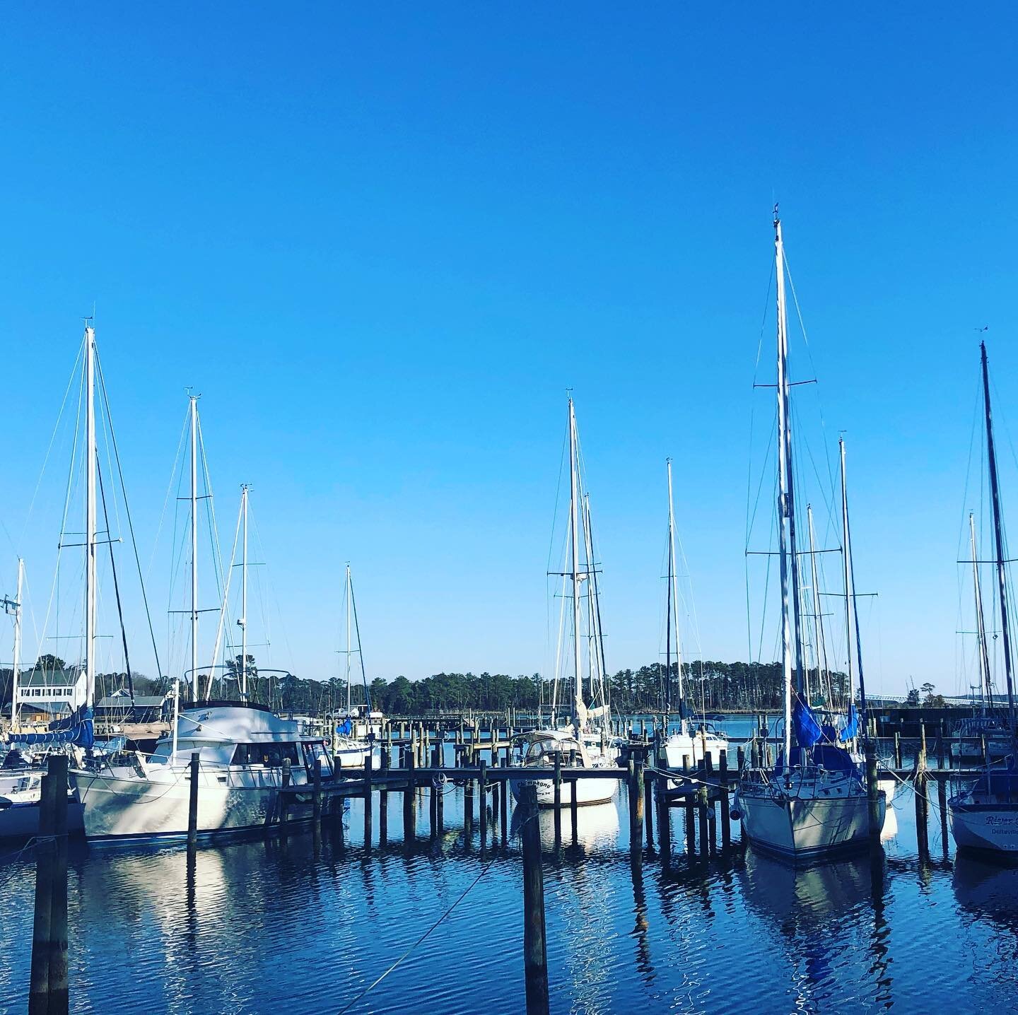 Monday&rsquo;s were meant for marinas!!! This GORGEOUS weather has us feeling so ready for the Spring and Summer....but is YOUR boat ready??? Call us today to schedule an estimate for your top and hullside details...and get ready to SHINE on our beau