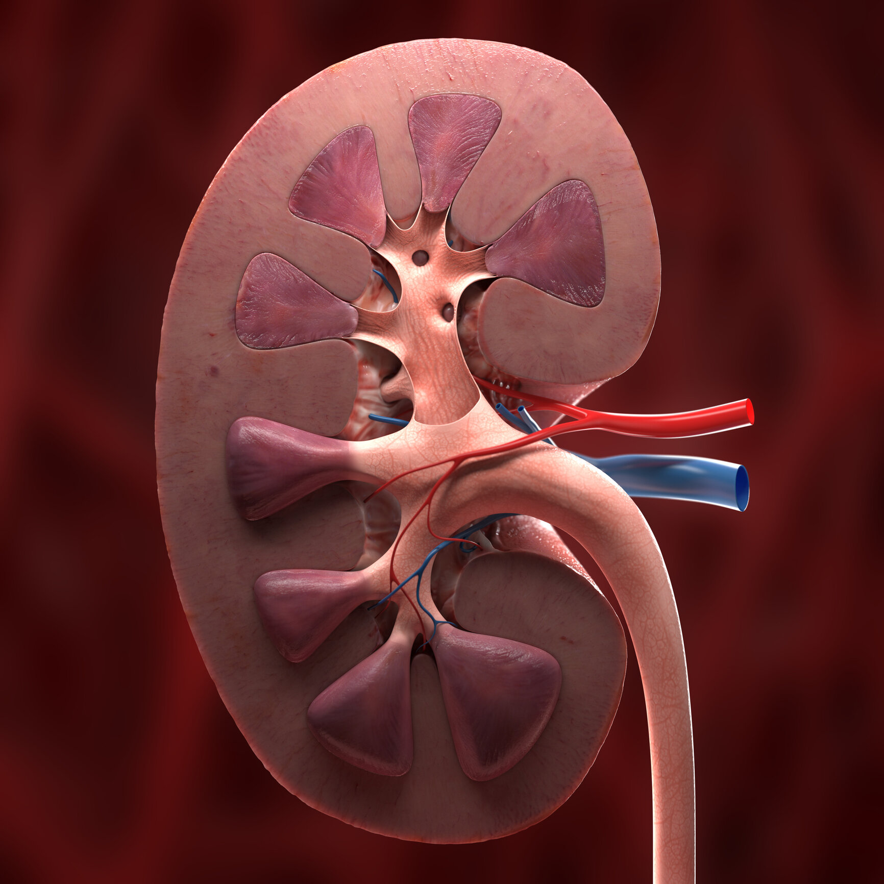 January 2021 OTS Meeting Recap:  Dr. Joseph Leventhal
