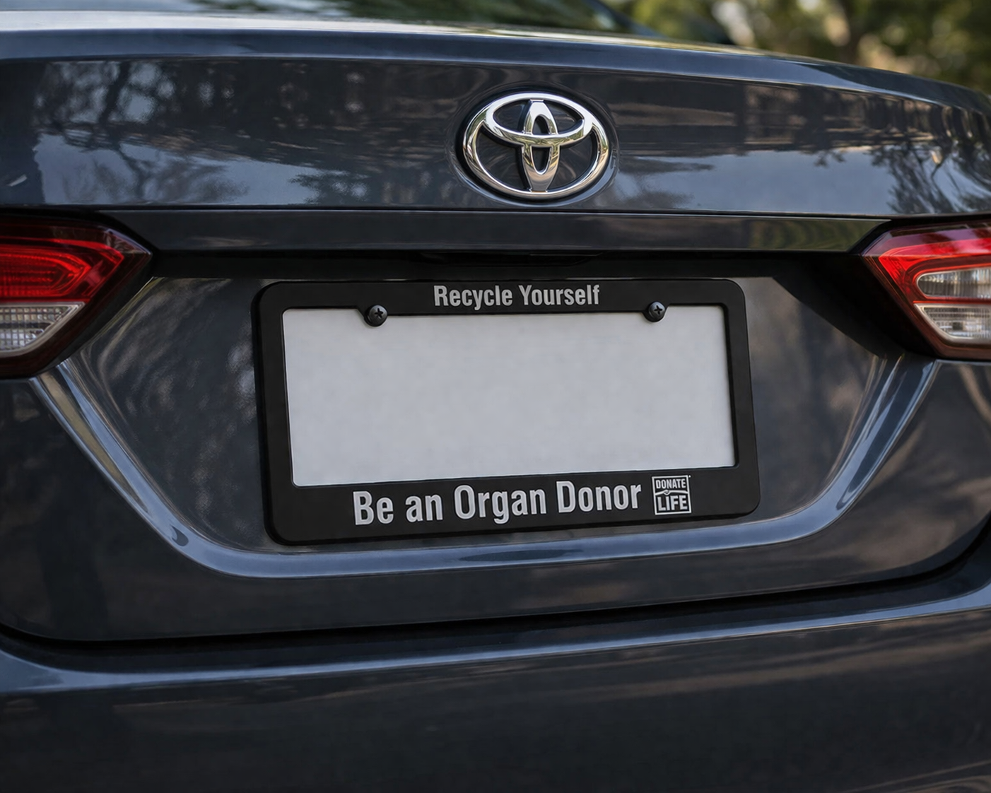 Recycle Yourself_License Plate Cover.png