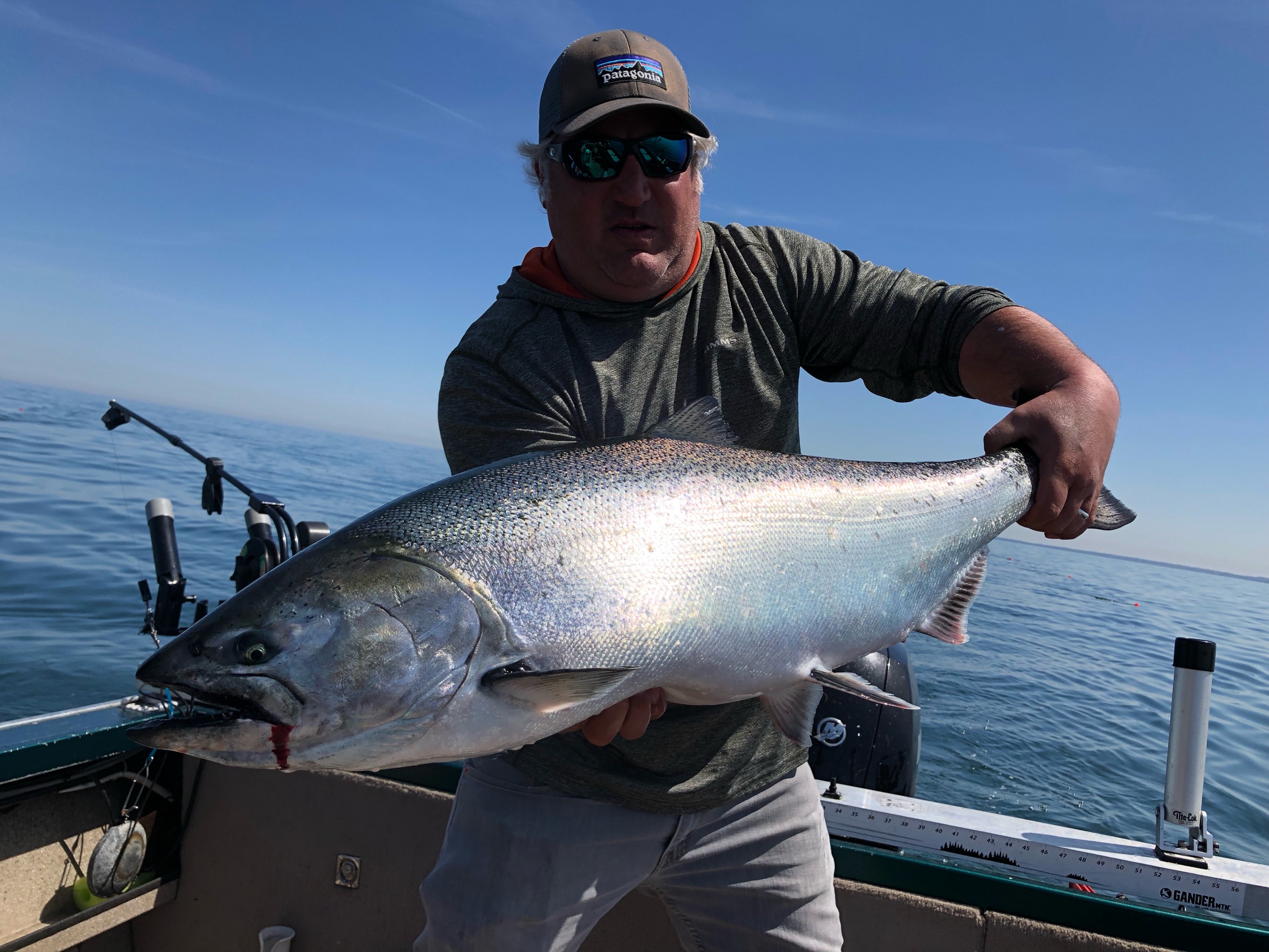 Lake Michigan King Salmon Fishing 