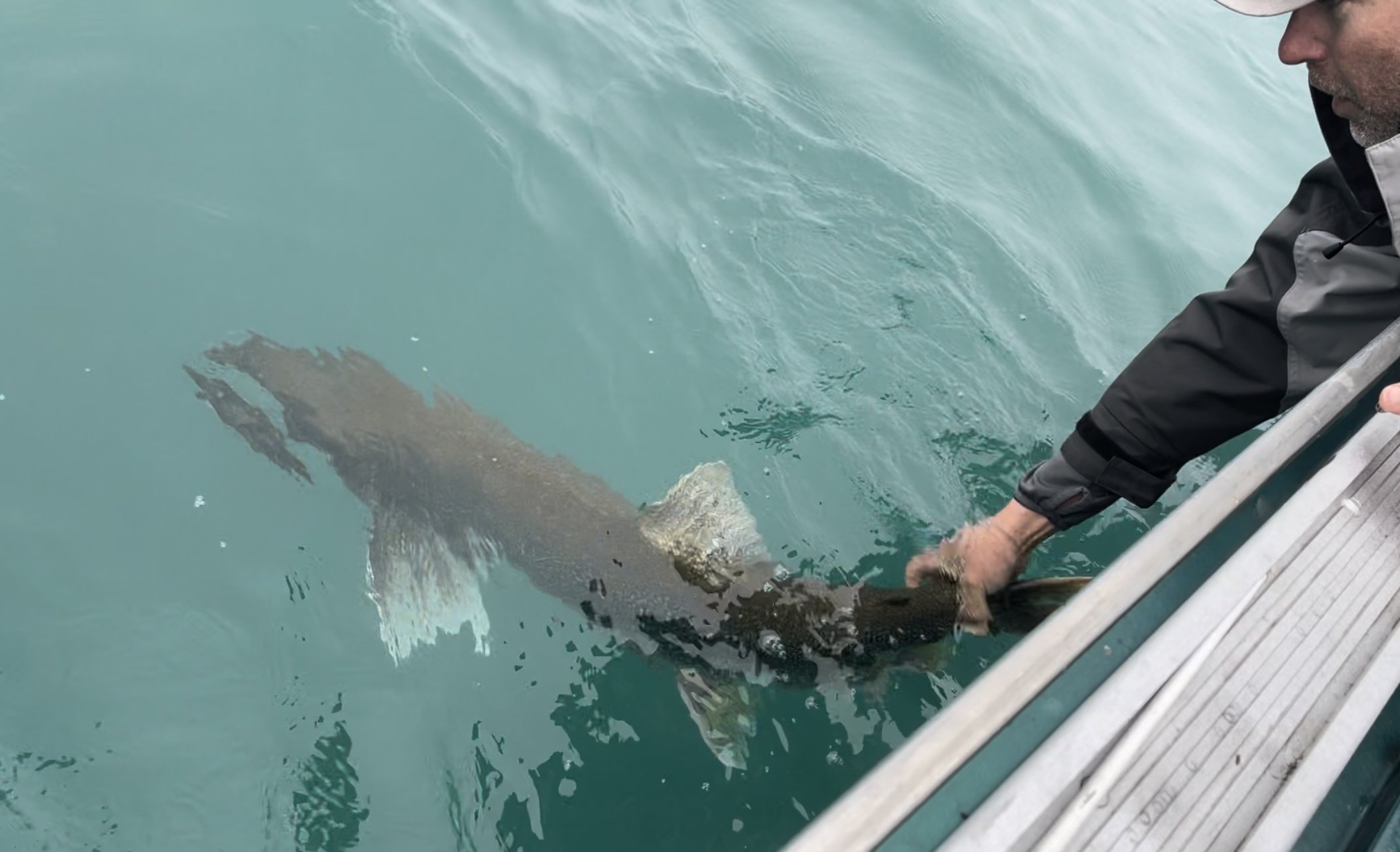 Lake Trout Jigging on Lake Michigan Charter Fishing