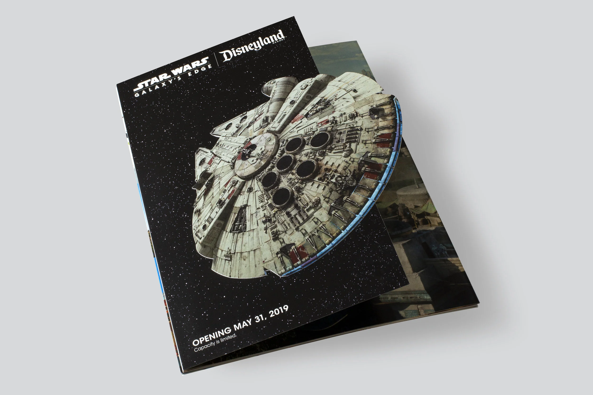 SW_Brochure_1v7.jpg