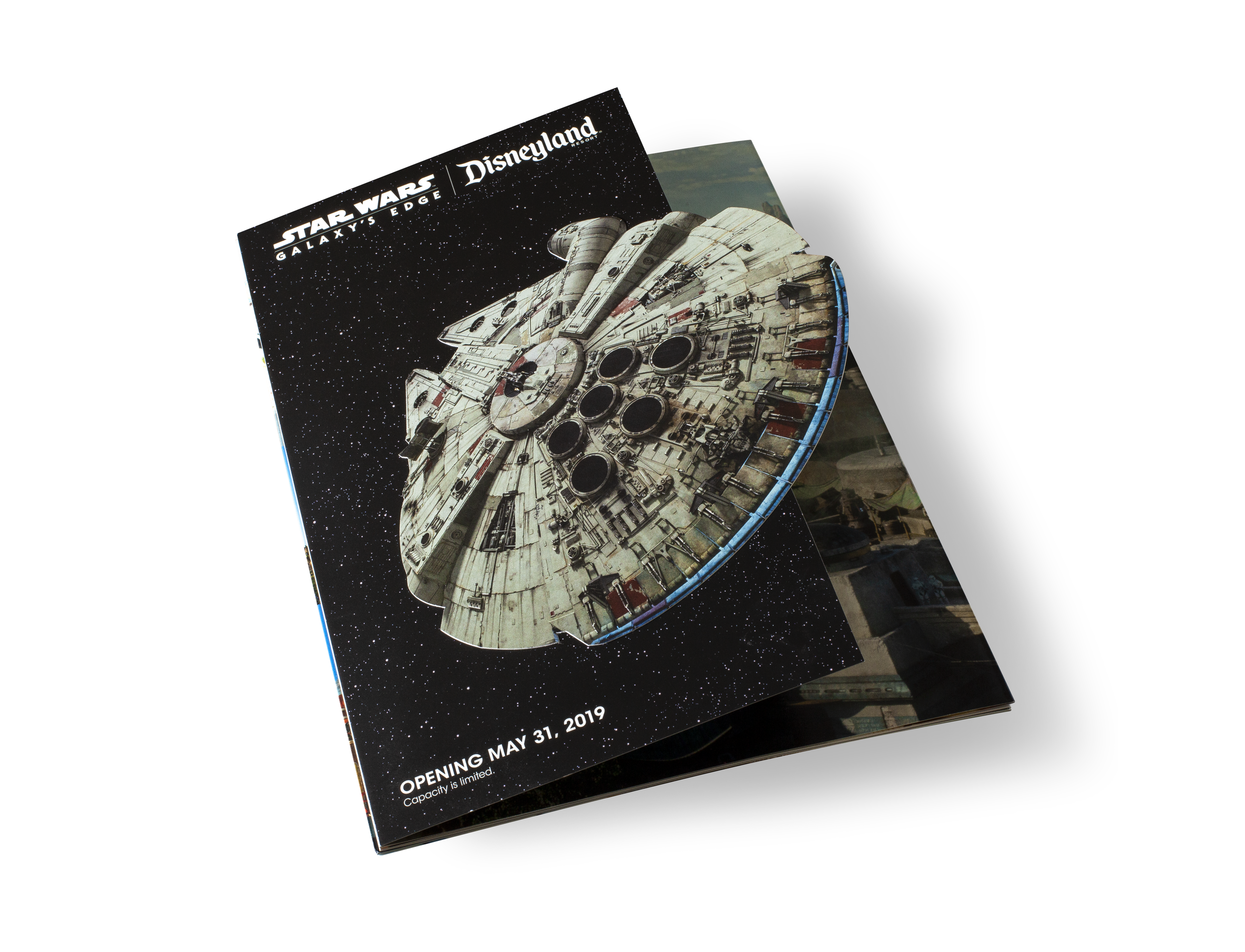 SW_Brochure_1v4.png