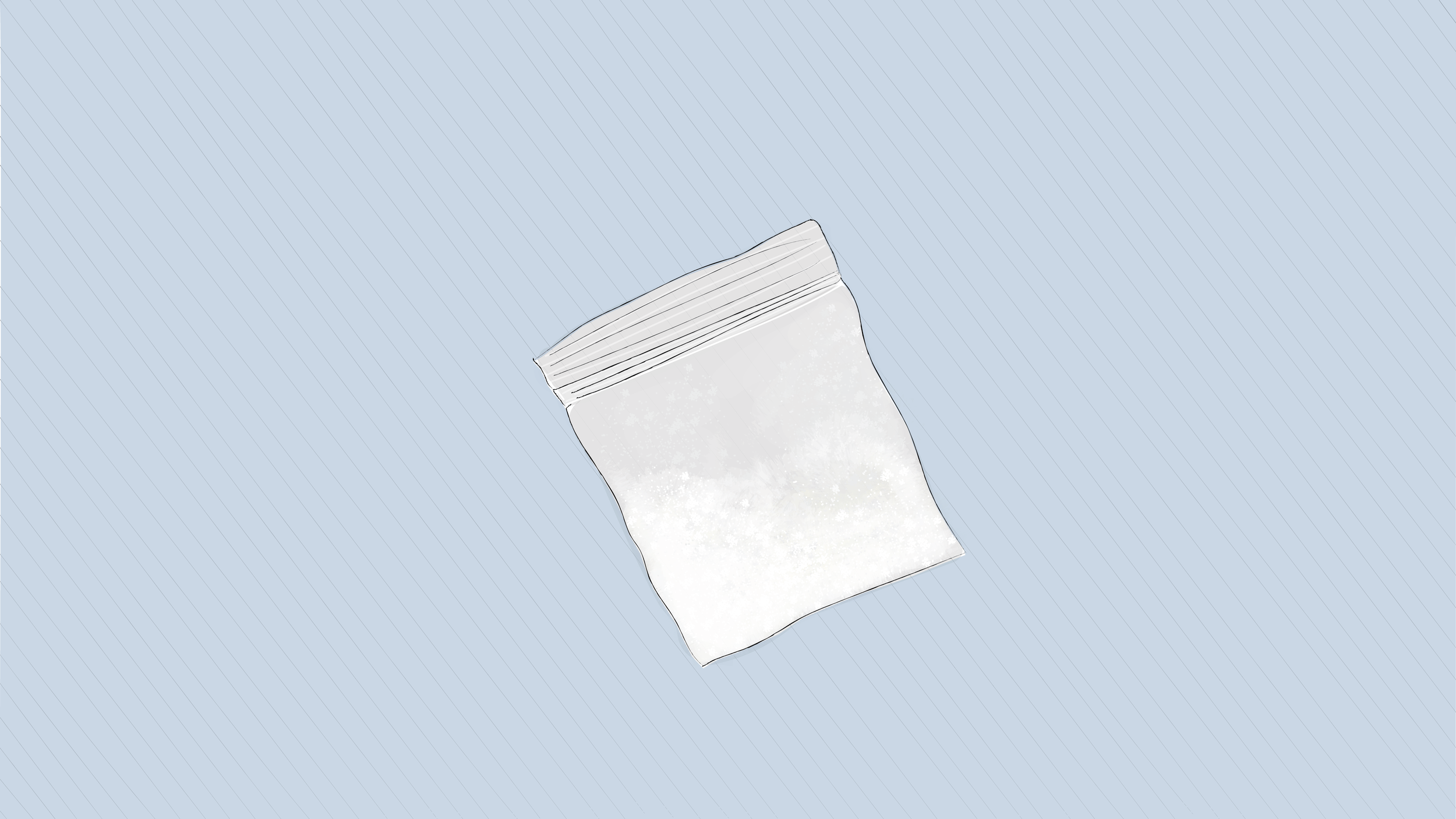 baggie-01.png