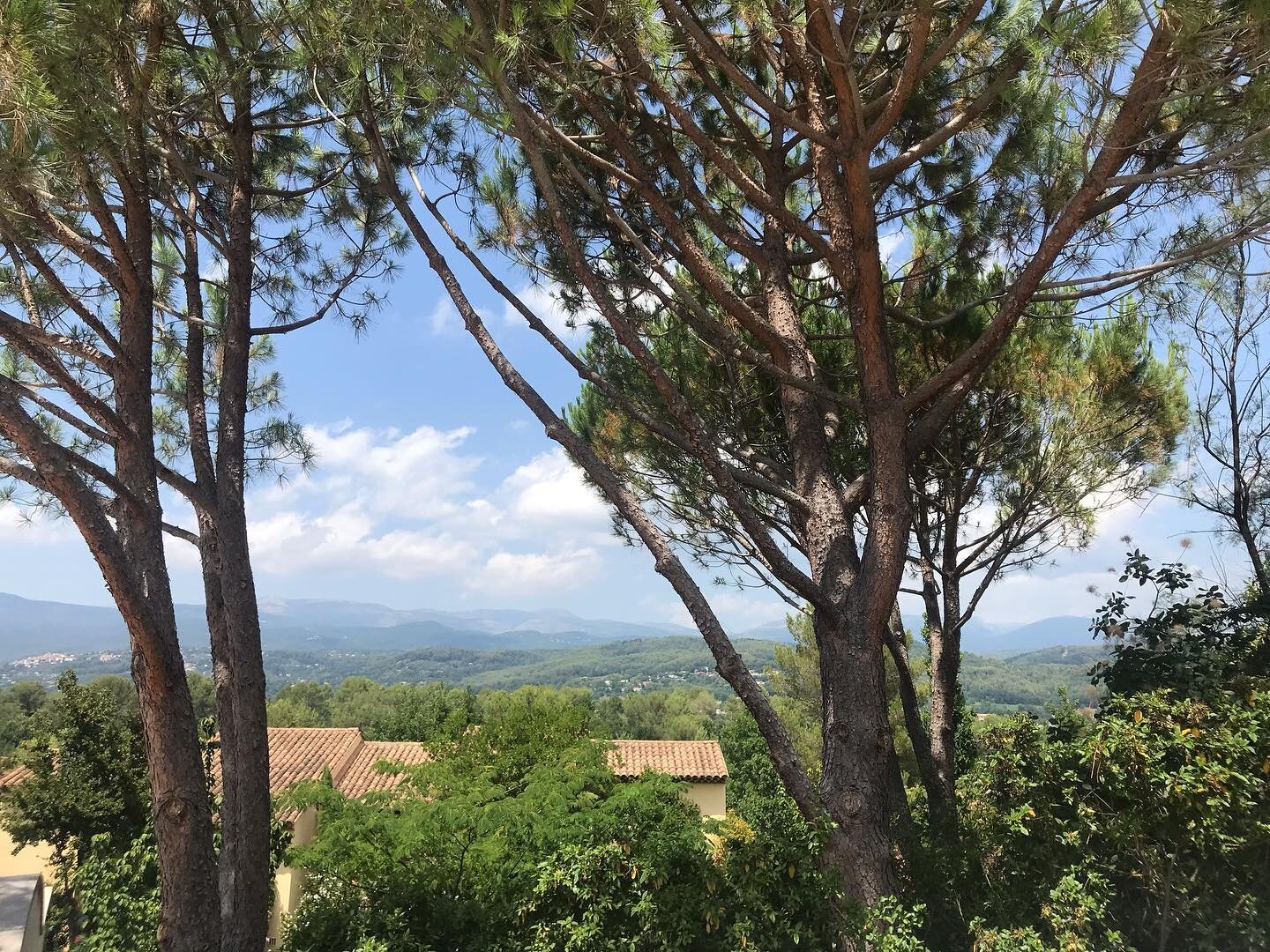 Beautiful views, Provence food and wine, rambling nature and the odd Nikki de Saint Phalle sculpture thrown in for good measure (all at a safe social distance) &mdash; post-Covid @terre_blanche is un bijou ☀️🍷 #provence