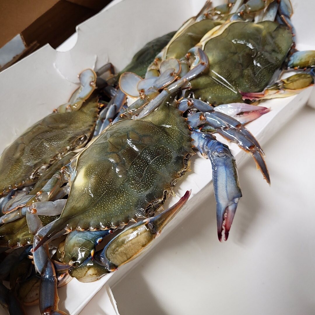 We got a surprise order of softshells in! Our seafood orders are always fresh and we don&rsquo;t always know what they&rsquo;ll have available (other than our menu seafood items). 🦀These came in today and we knew you&rsquo;d want to be the first to 
