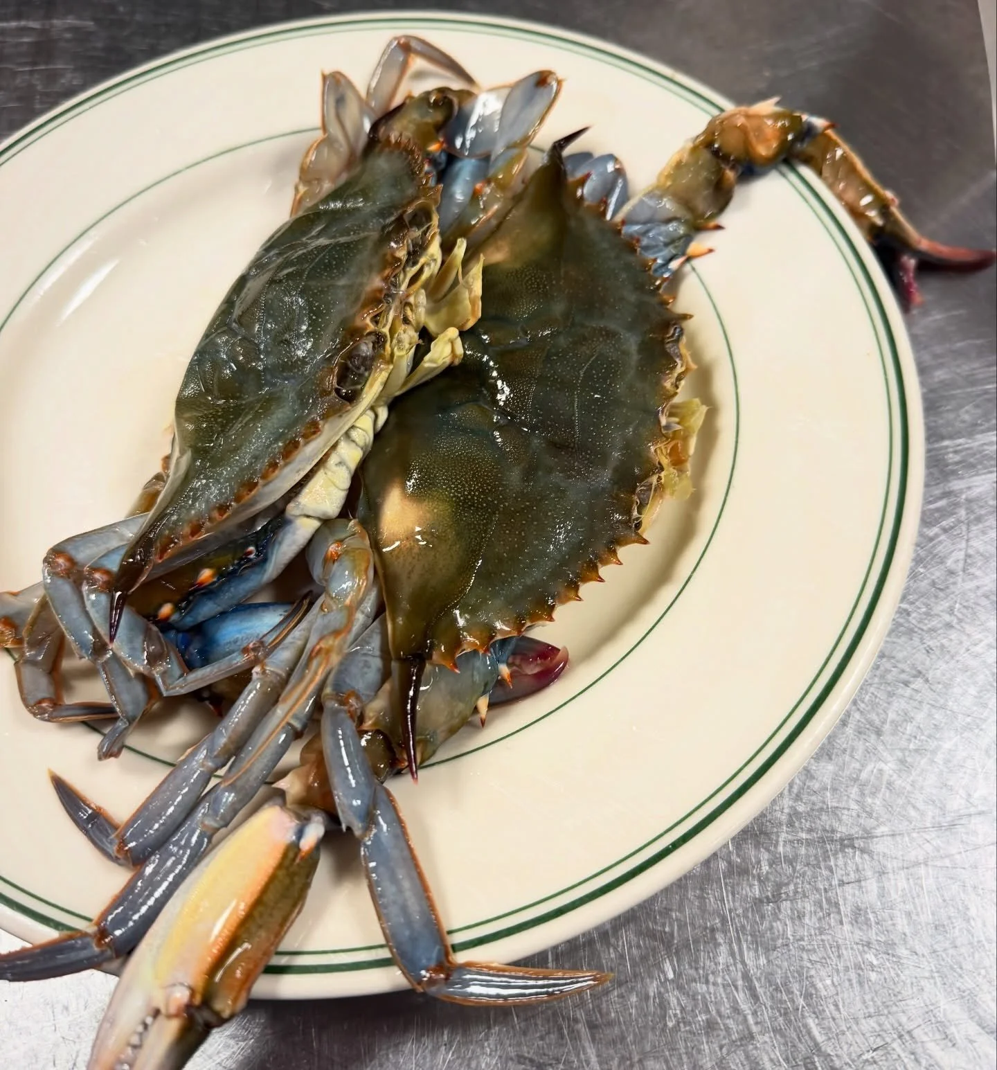 We got some beautiful XL softshell crabs in for the specials menu tonight! 🦀
601.957.8000