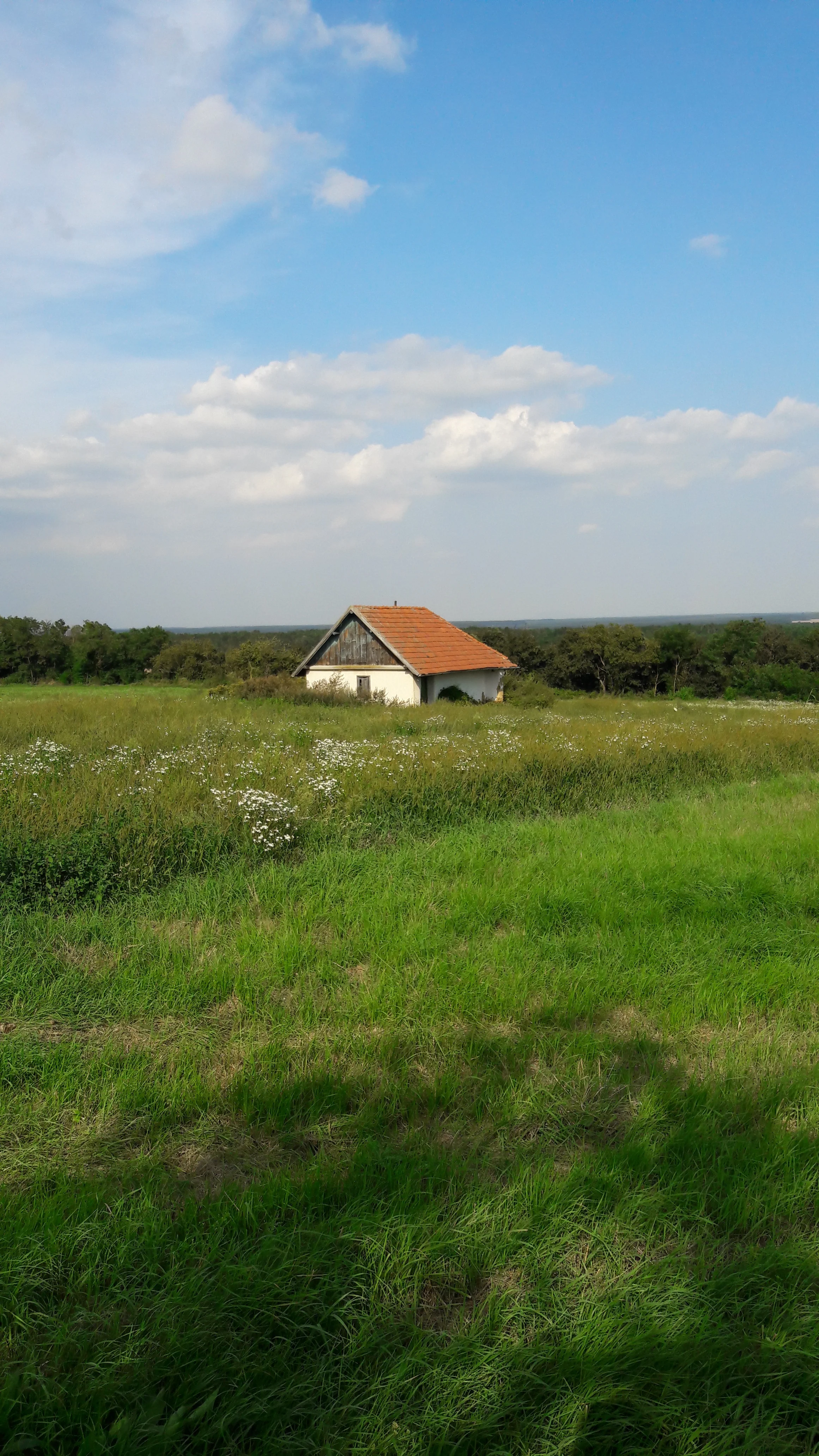 Grasgrün
