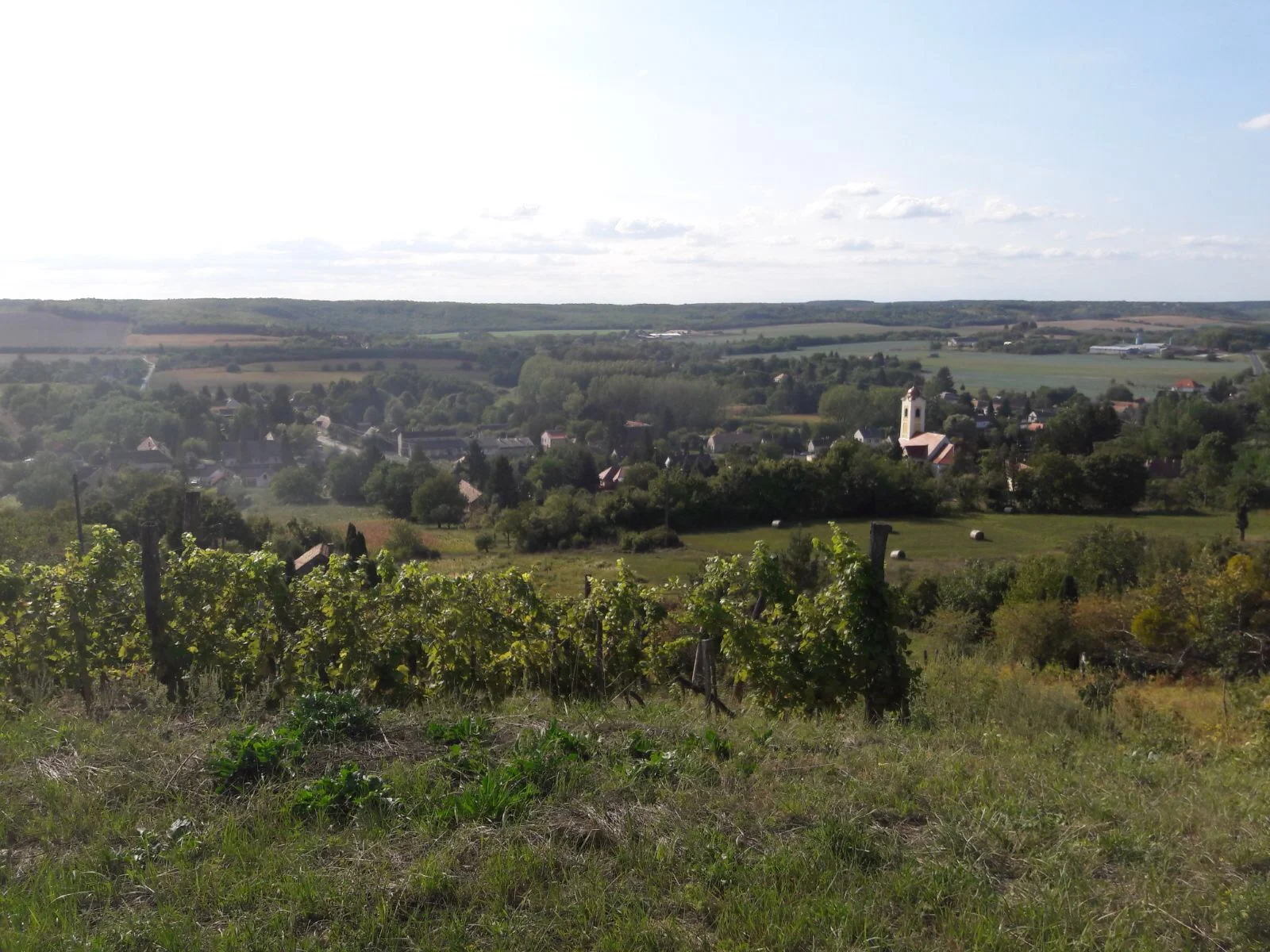 Landschaftsbild
